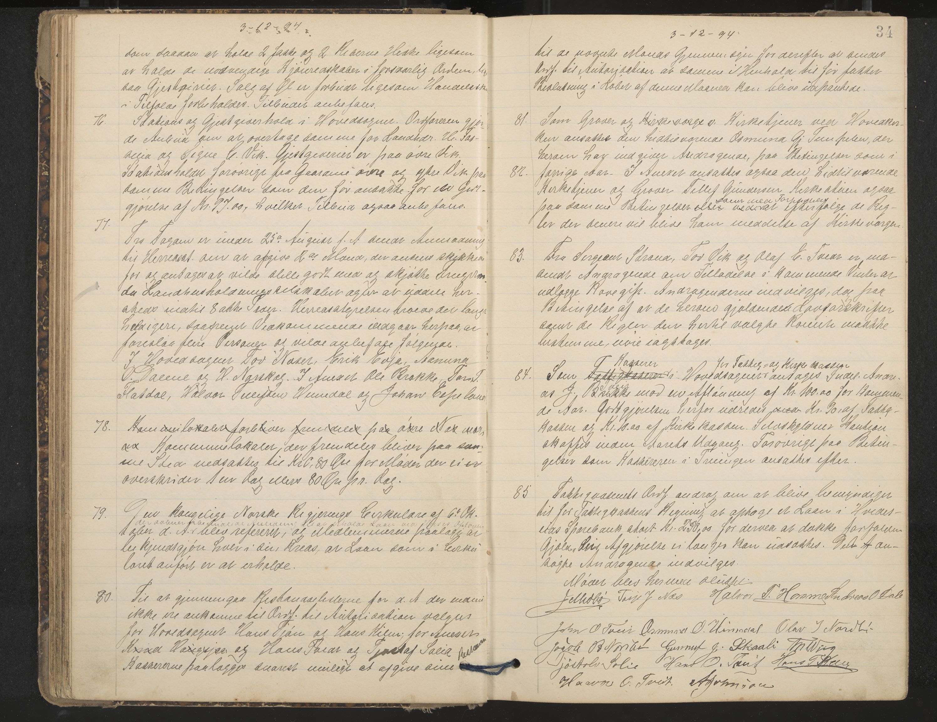 Nissedal formannskap og sentraladministrasjon, IKAK/0830021-1/A/L0003: Møtebok, 1892-1904, p. 34