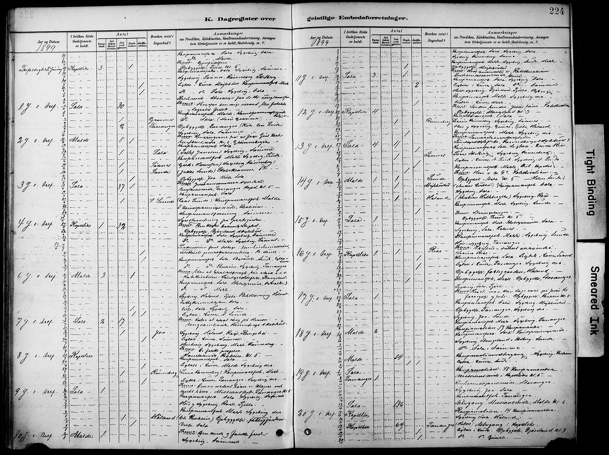 Håland sokneprestkontor, SAST/A-101802/001/30BA/L0012: Parish register (official) no. A 11, 1889-1900, p. 224