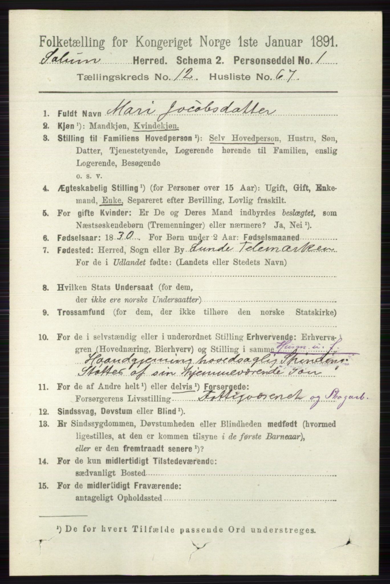RA, 1891 census for 0818 Solum, 1891, p. 5994