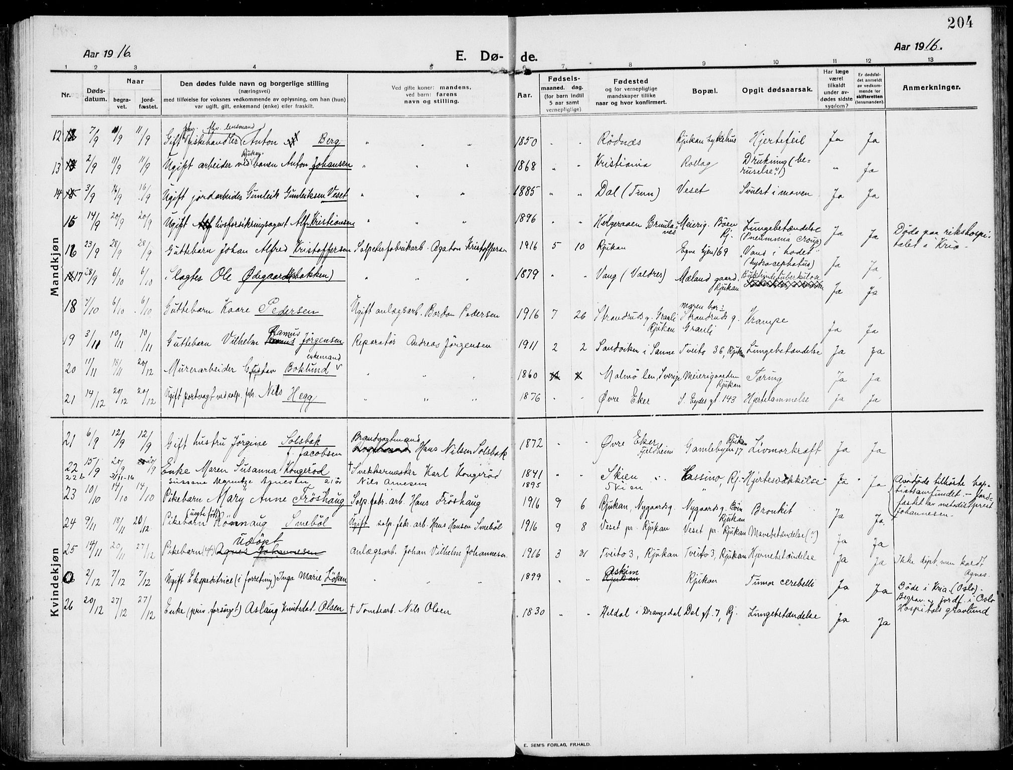 Rjukan kirkebøker, SAKO/A-294/F/Fa/L0002: Parish register (official) no. 2, 1912-1917, p. 204