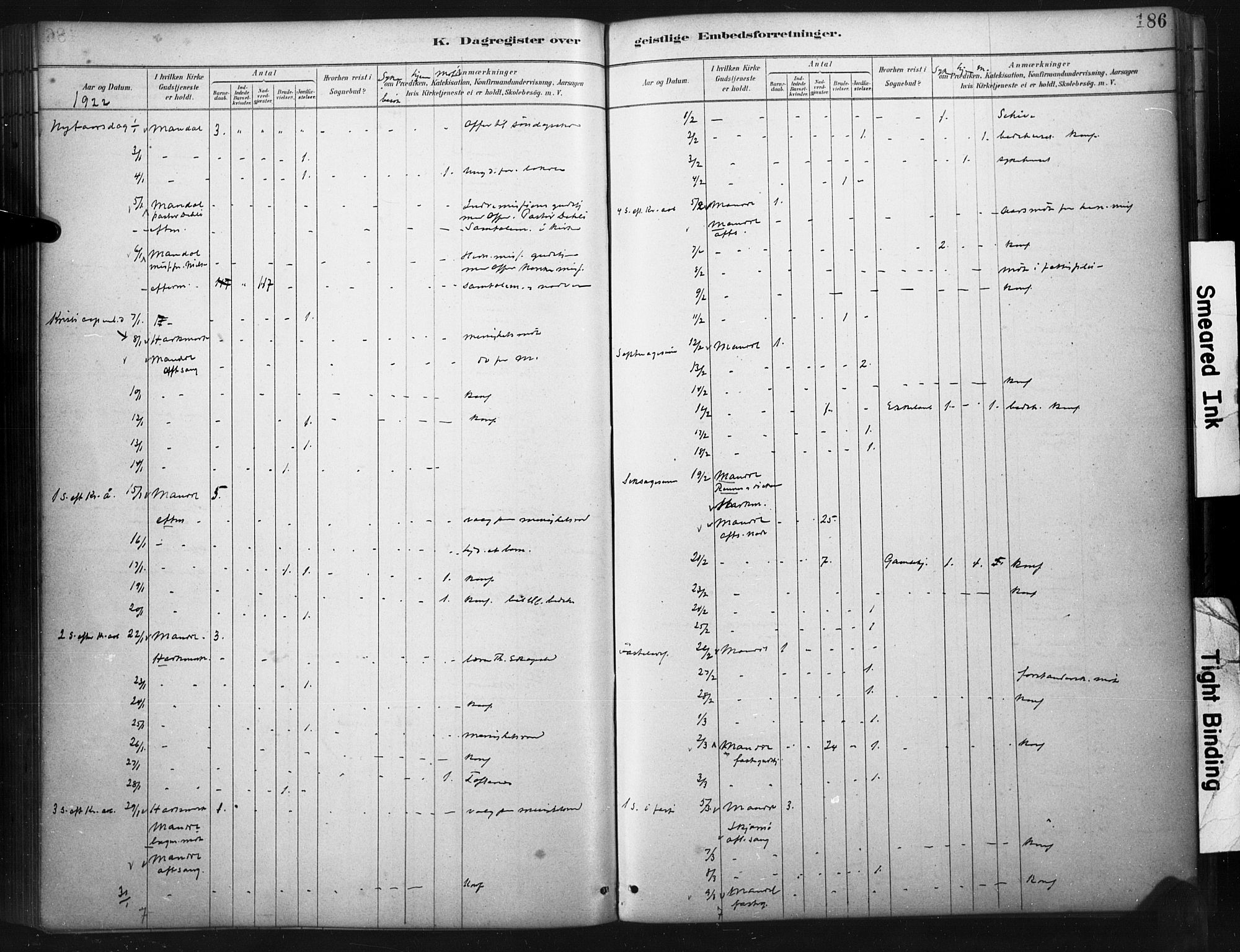 Mandal sokneprestkontor, SAK/1111-0030/F/Fa/Faa/L0017: Parish register (official) no. A 17, 1880-1926, p. 186