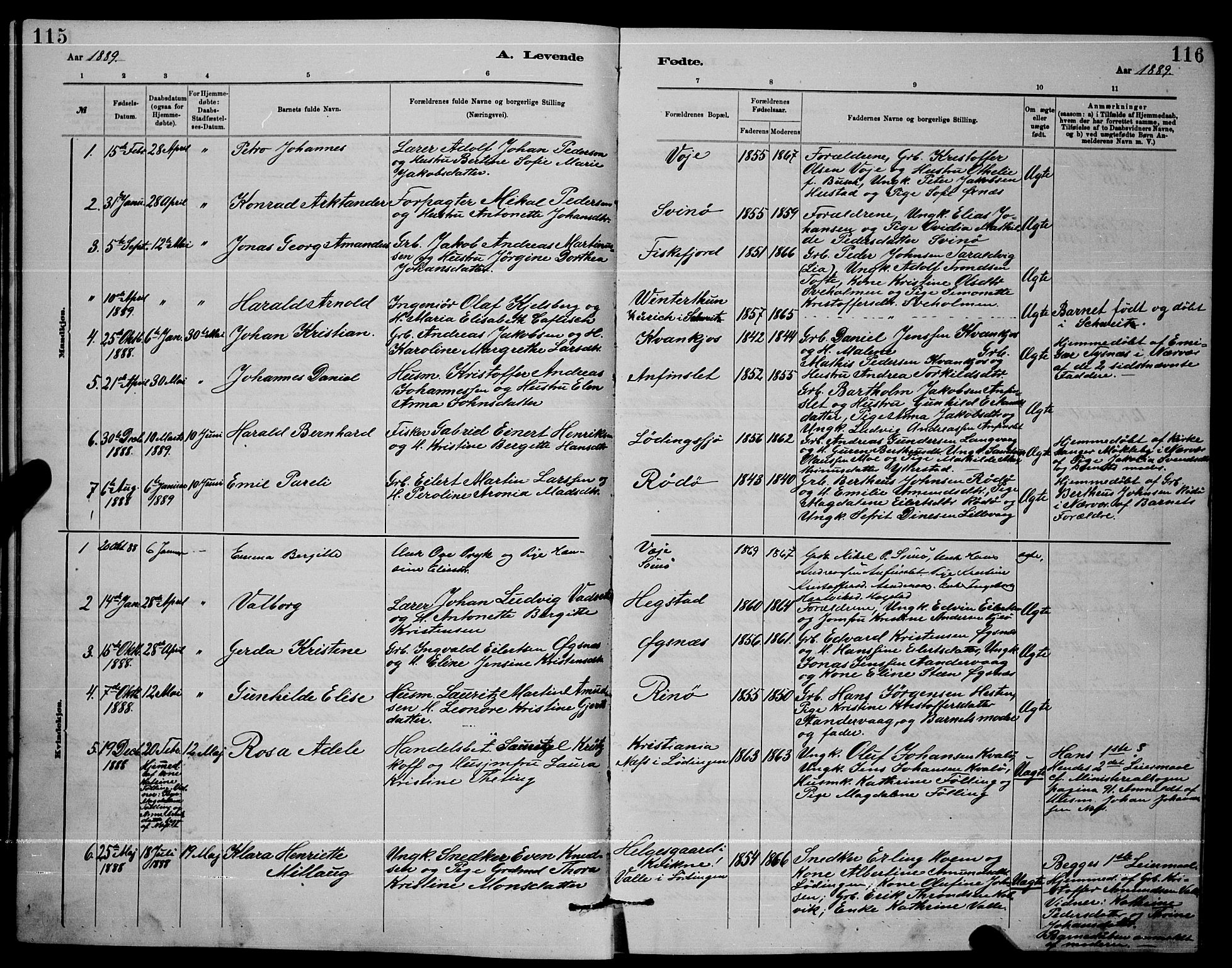 Ministerialprotokoller, klokkerbøker og fødselsregistre - Nordland, AV/SAT-A-1459/872/L1047: Parish register (copy) no. 872C03, 1880-1897, p. 115-116