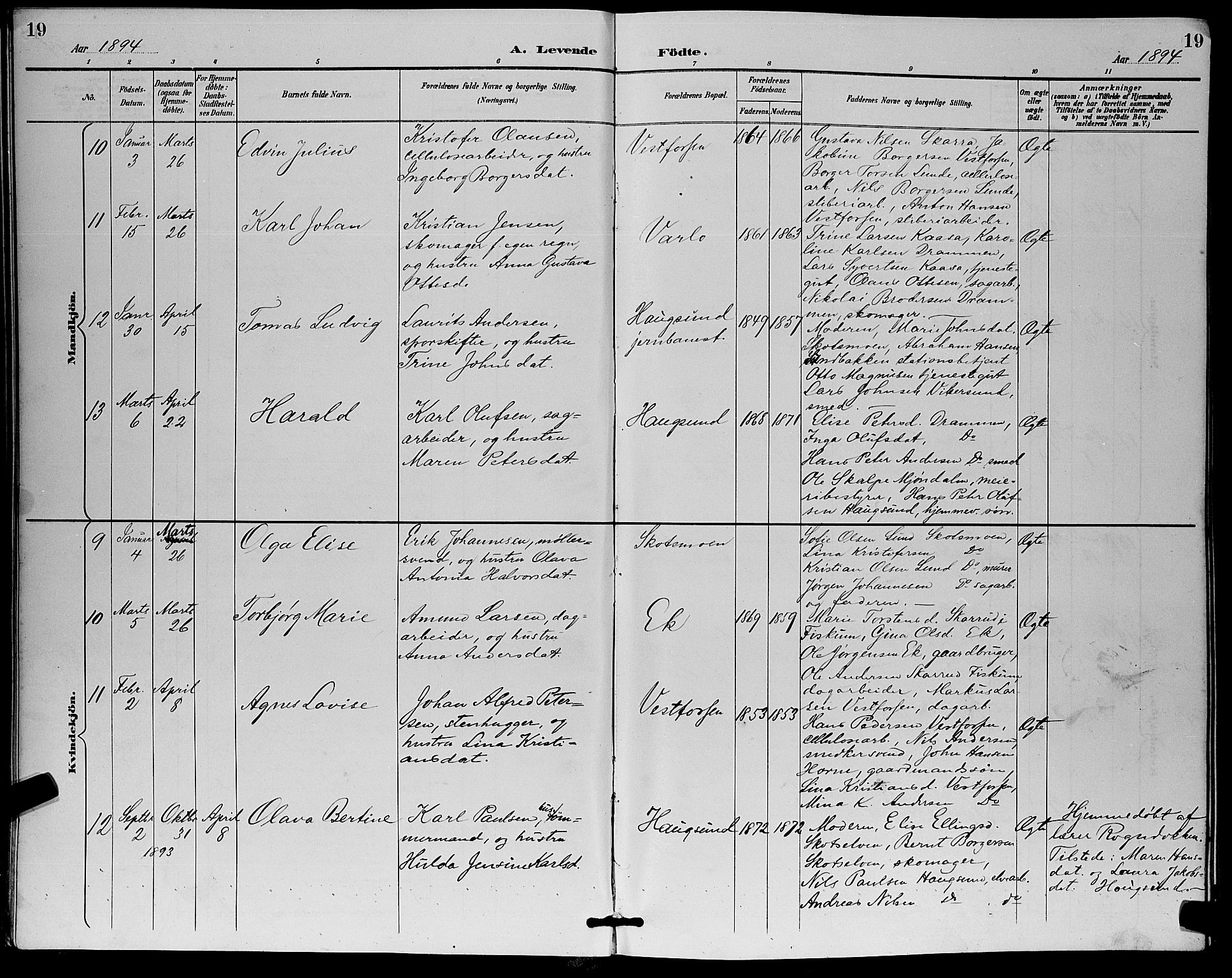 Eiker kirkebøker, AV/SAKO-A-4/G/Ga/L0007: Parish register (copy) no. I 7, 1893-1902, p. 19