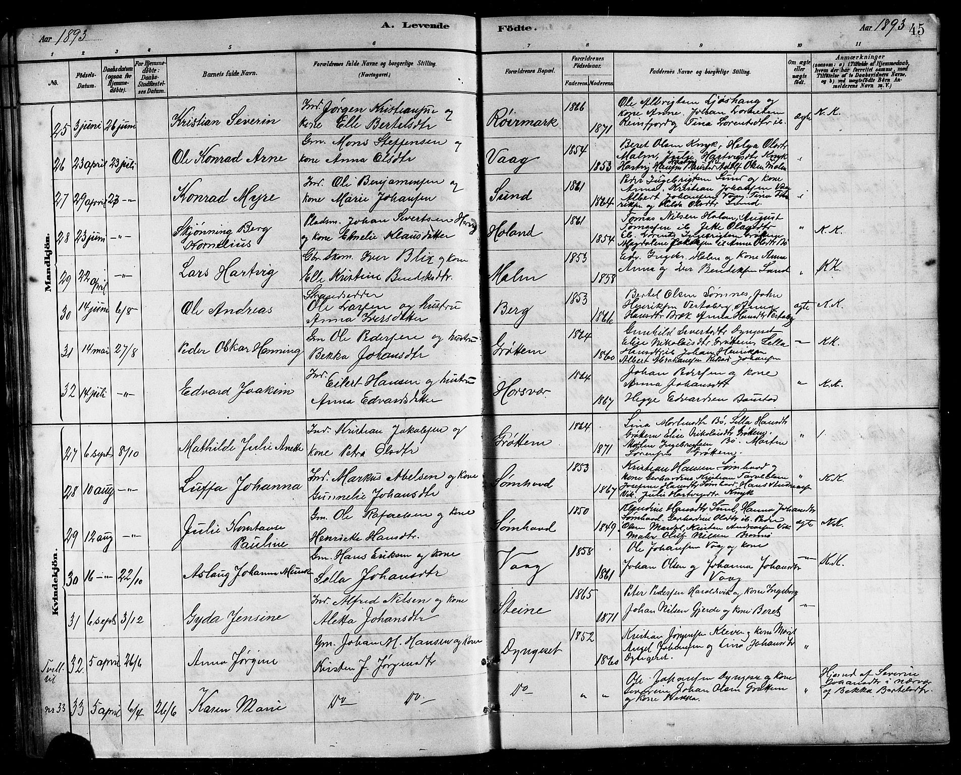 Ministerialprotokoller, klokkerbøker og fødselsregistre - Nordland, SAT/A-1459/812/L0188: Parish register (copy) no. 812C06, 1884-1912, p. 45