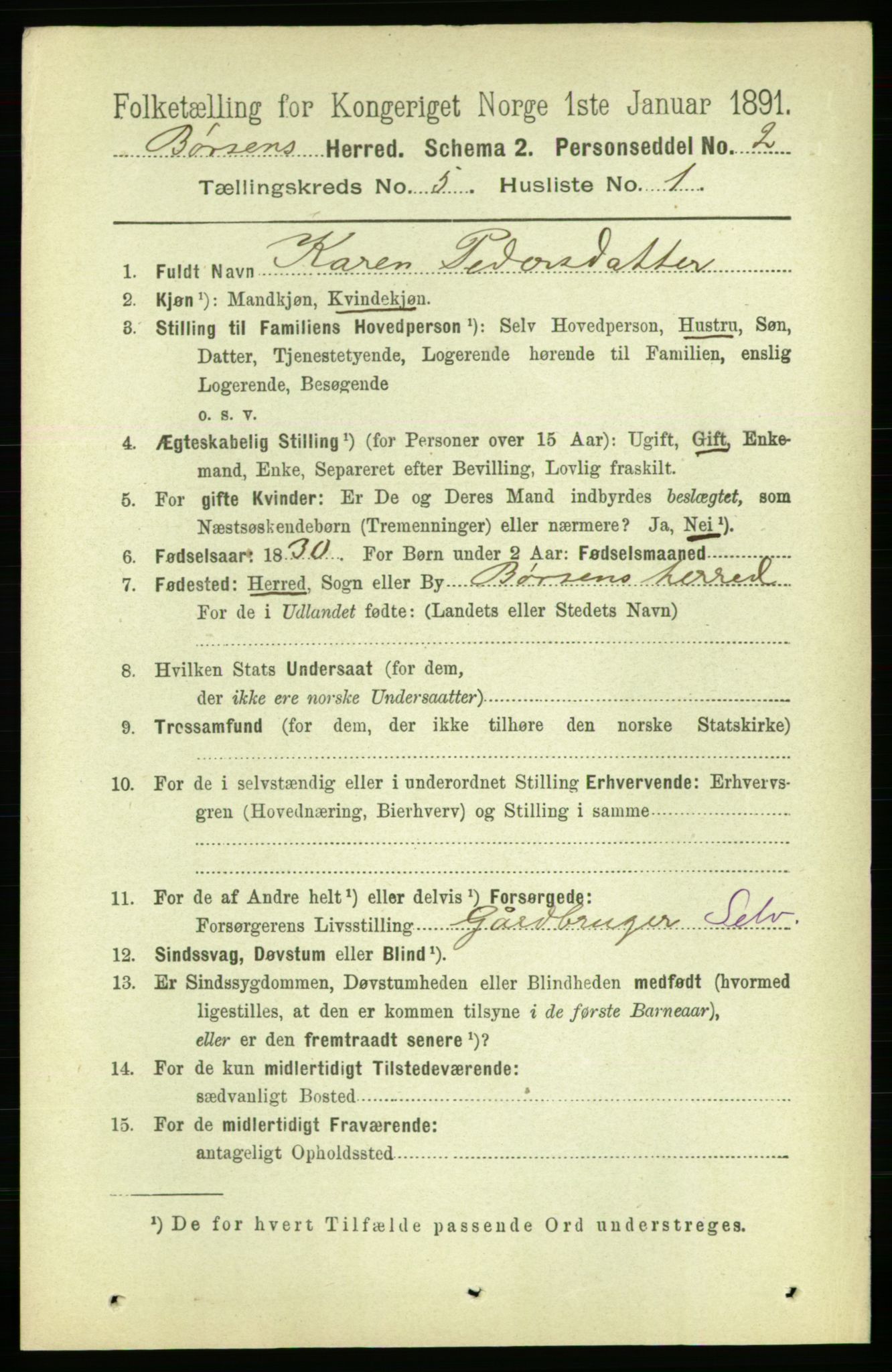 RA, 1891 census for 1658 Børsa, 1891, p. 1976