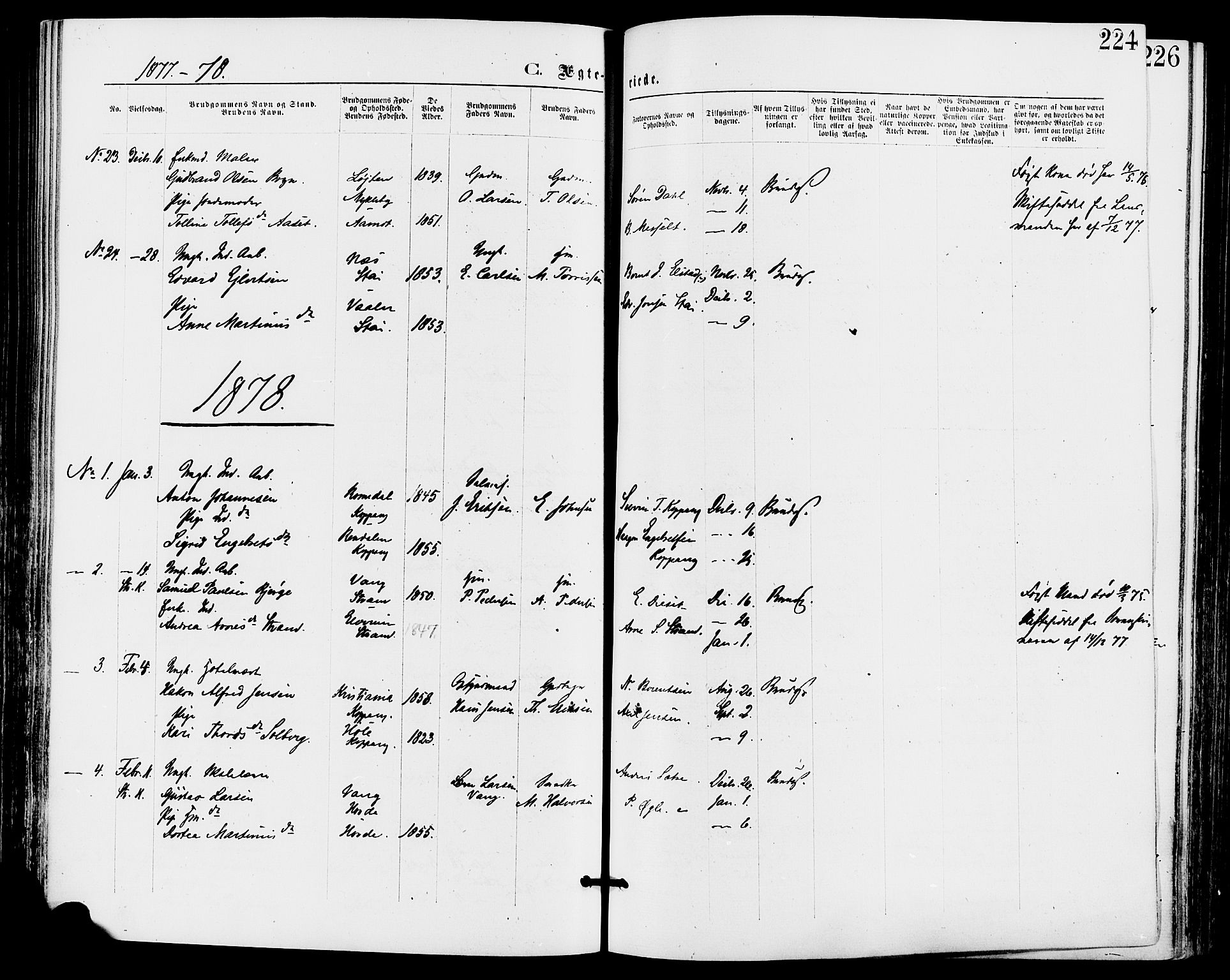 Stor-Elvdal prestekontor, SAH/PREST-052/H/Ha/Haa/L0001: Parish register (official) no. 1, 1871-1882, p. 224