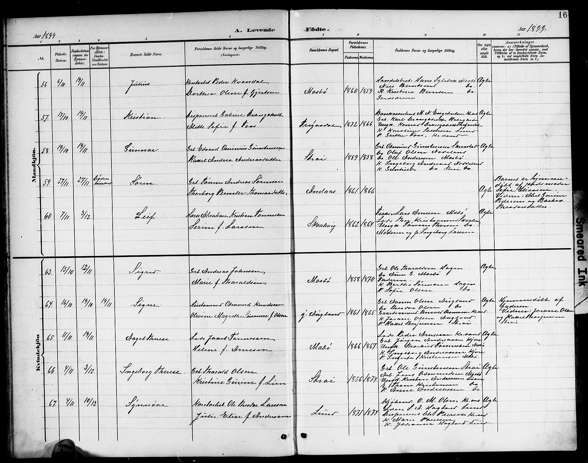 Oddernes sokneprestkontor, AV/SAK-1111-0033/F/Fb/Fba/L0009: Parish register (copy) no. B 9, 1899-1923, p. 16