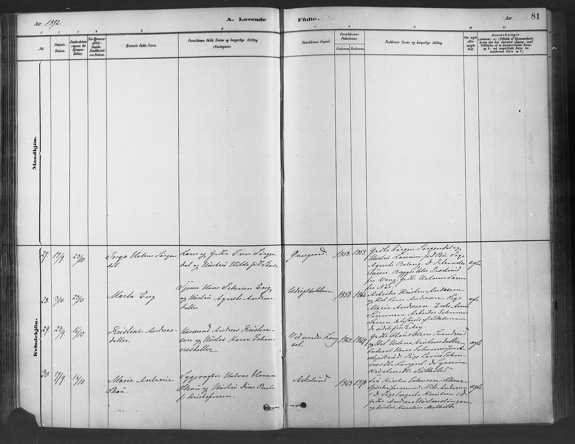 Fåberg prestekontor, AV/SAH-PREST-086/H/Ha/Haa/L0009: Parish register (official) no. 9, 1879-1898, p. 81