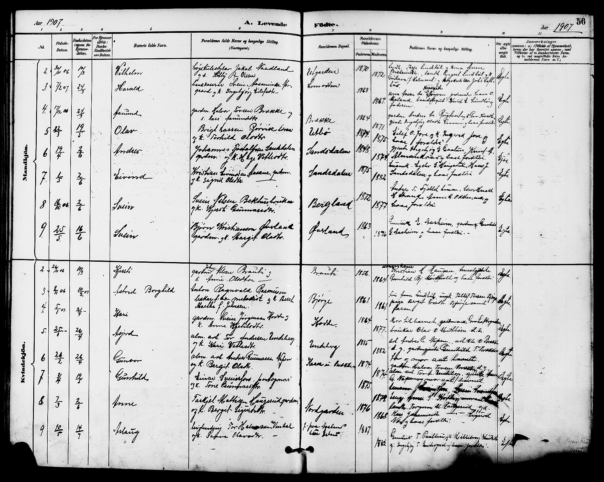 Seljord kirkebøker, AV/SAKO-A-20/G/Ga/L0005: Parish register (copy) no. I 5, 1887-1914, p. 56