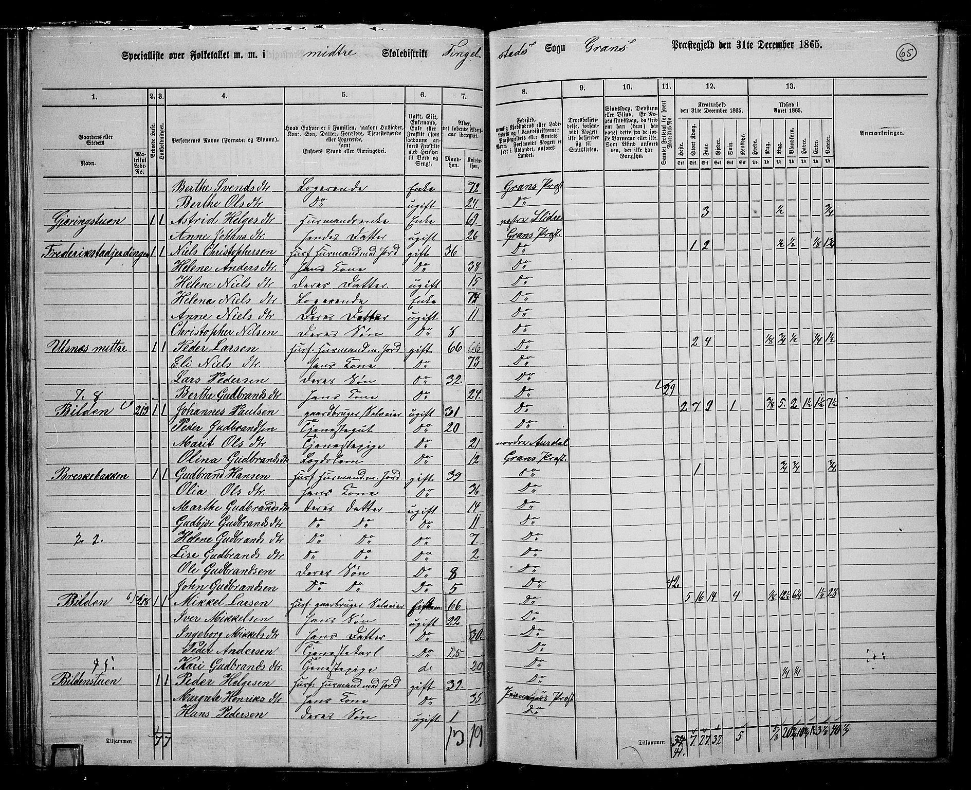 RA, 1865 census for Gran, 1865, p. 248