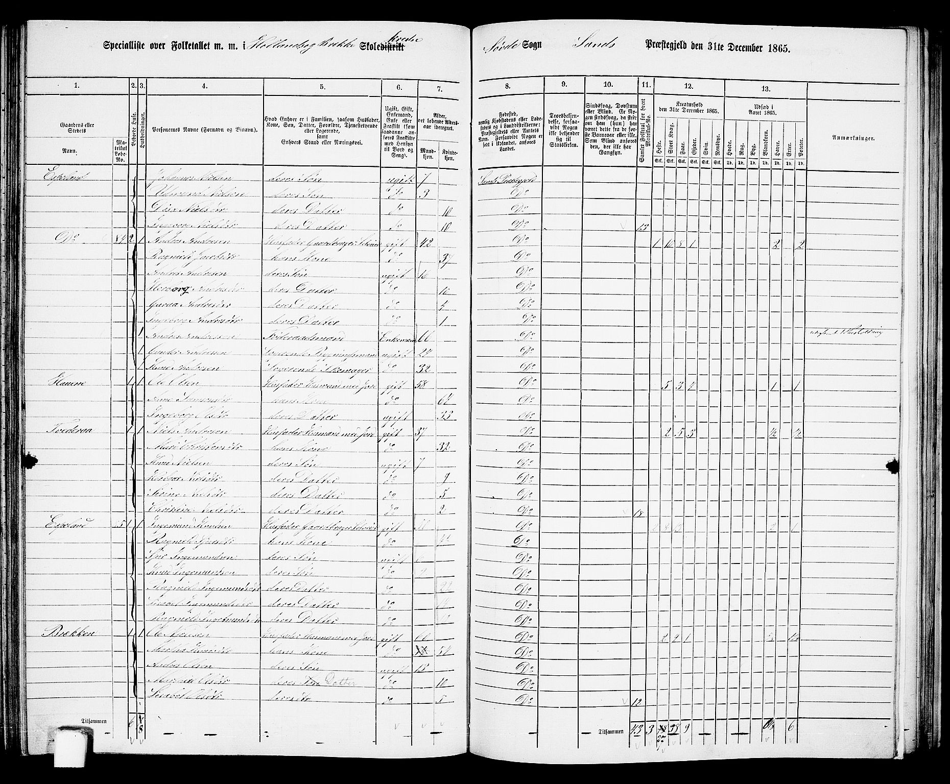 RA, 1865 census for Sand, 1865, p. 113