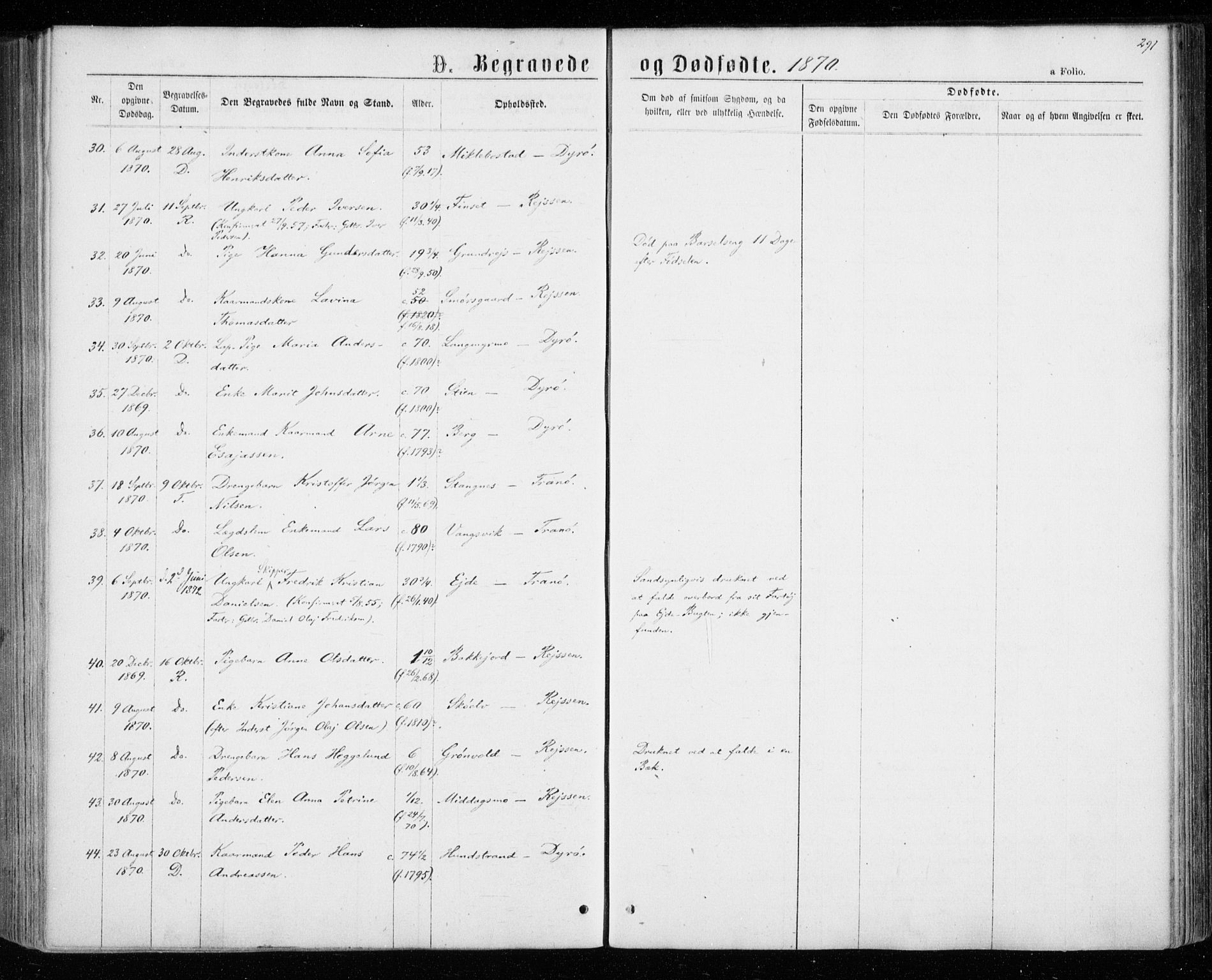Tranøy sokneprestkontor, AV/SATØ-S-1313/I/Ia/Iaa/L0008kirke: Parish register (official) no. 8, 1867-1877, p. 291