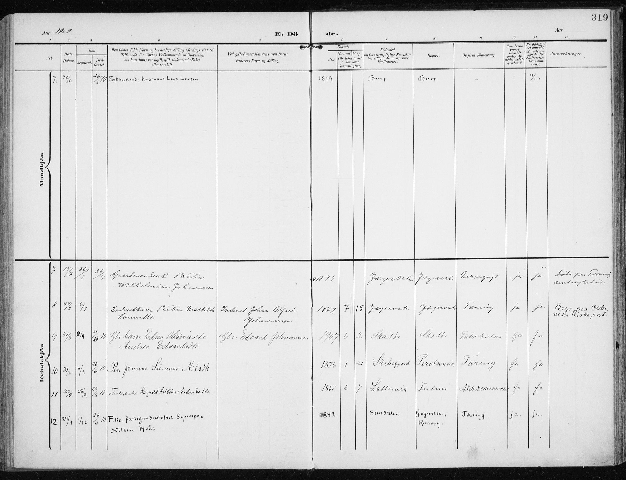 Karlsøy sokneprestembete, AV/SATØ-S-1299/H/Ha/Haa/L0014kirke: Parish register (official) no. 14, 1903-1917, p. 319