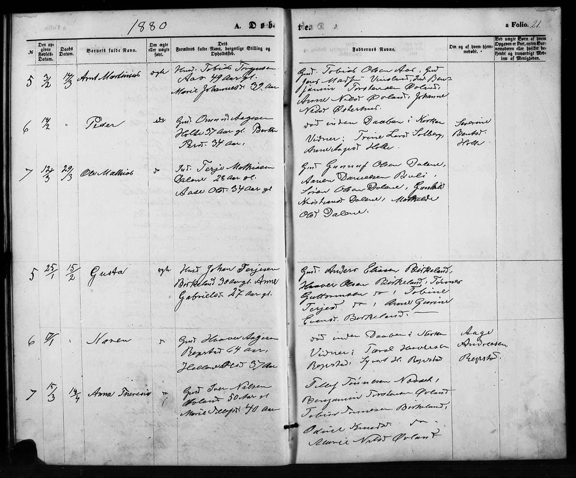 Birkenes sokneprestkontor, AV/SAK-1111-0004/F/Fb/L0003: Parish register (copy) no. B 3, 1876-1892, p. 21