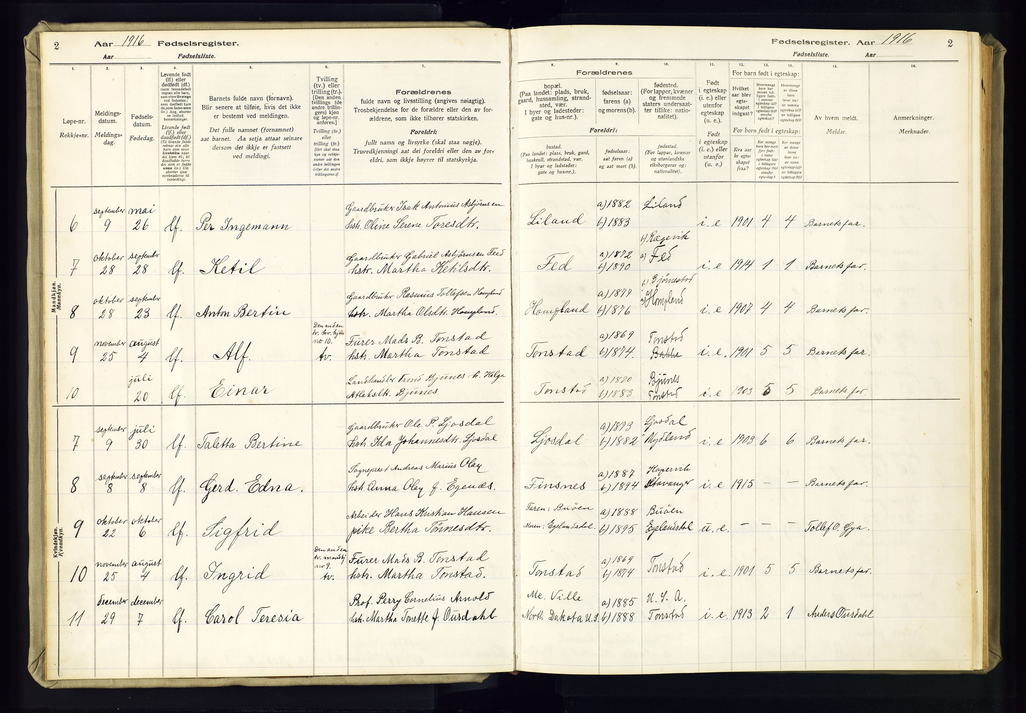 Sirdal sokneprestkontor, AV/SAK-1111-0036/J/Ja/L0002: Birth register no. II.4.2, 1916-1982, p. 2