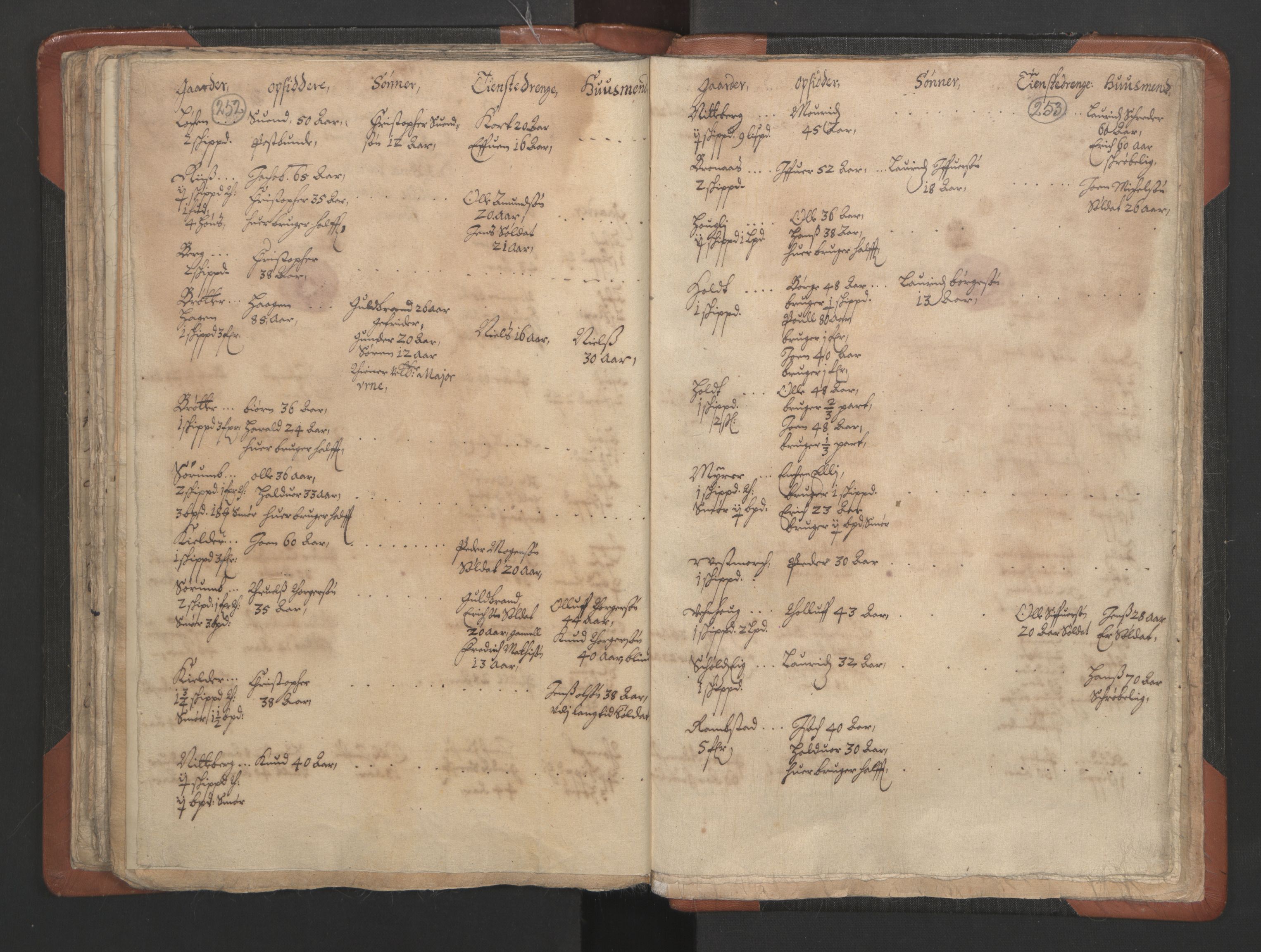 RA, Vicar's Census 1664-1666, no. 3: Nedre Romerike deanery, 1664-1666, p. 252-253