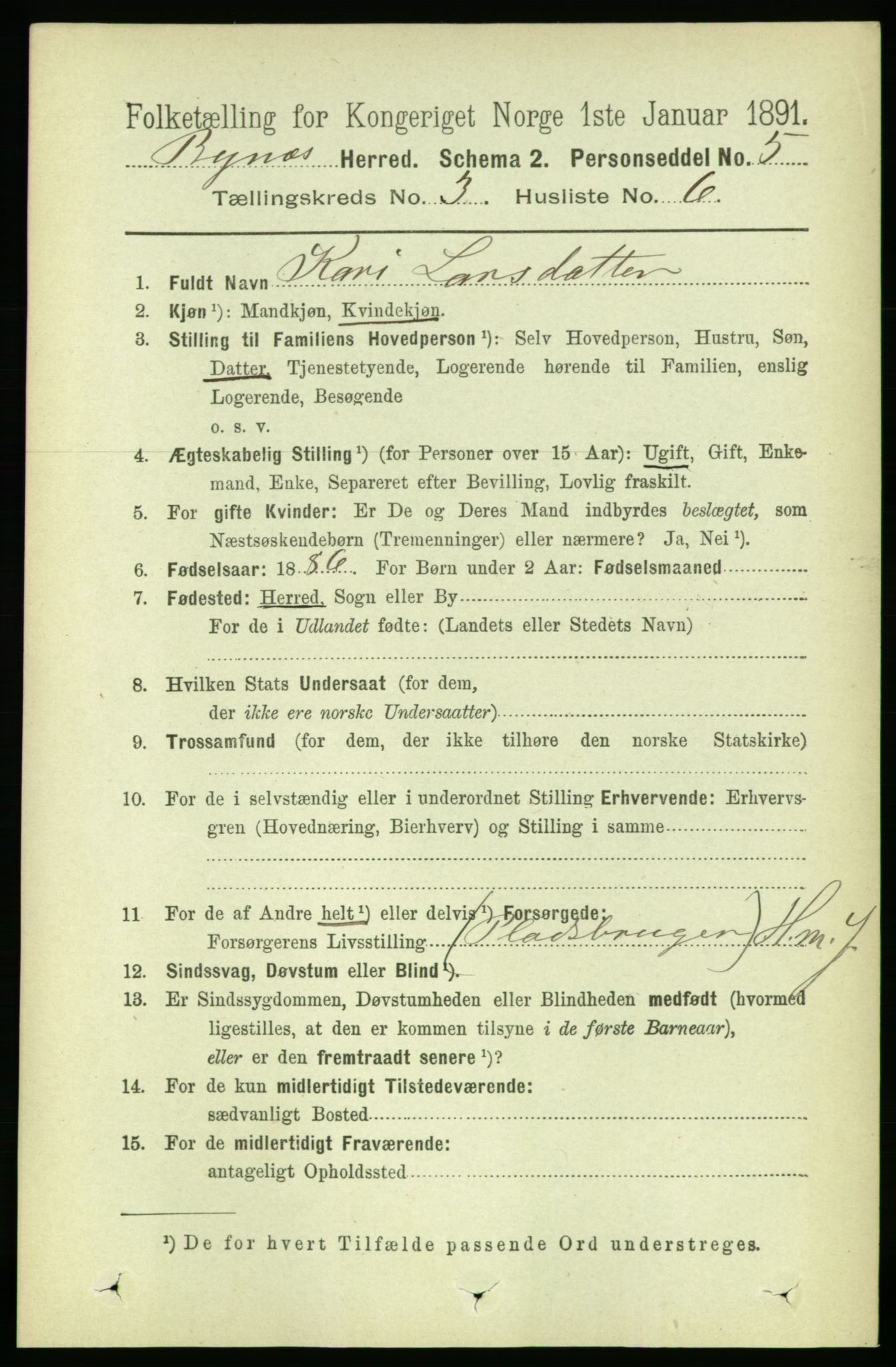 RA, 1891 census for 1655 Byneset, 1891, p. 1320