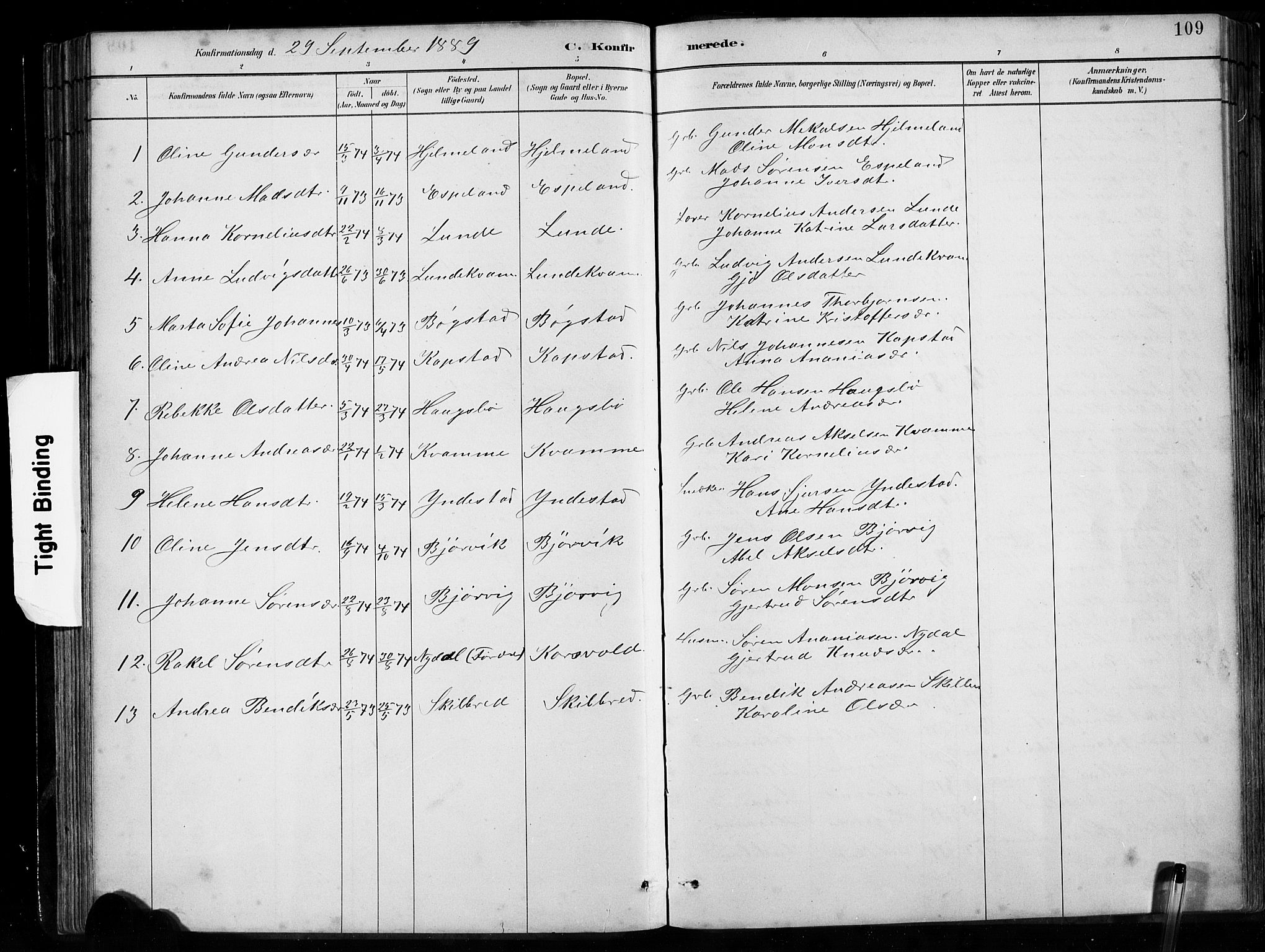 Gaular sokneprestembete, SAB/A-80001/H/Hab: Parish register (copy) no. B 3, 1882-1913, p. 109