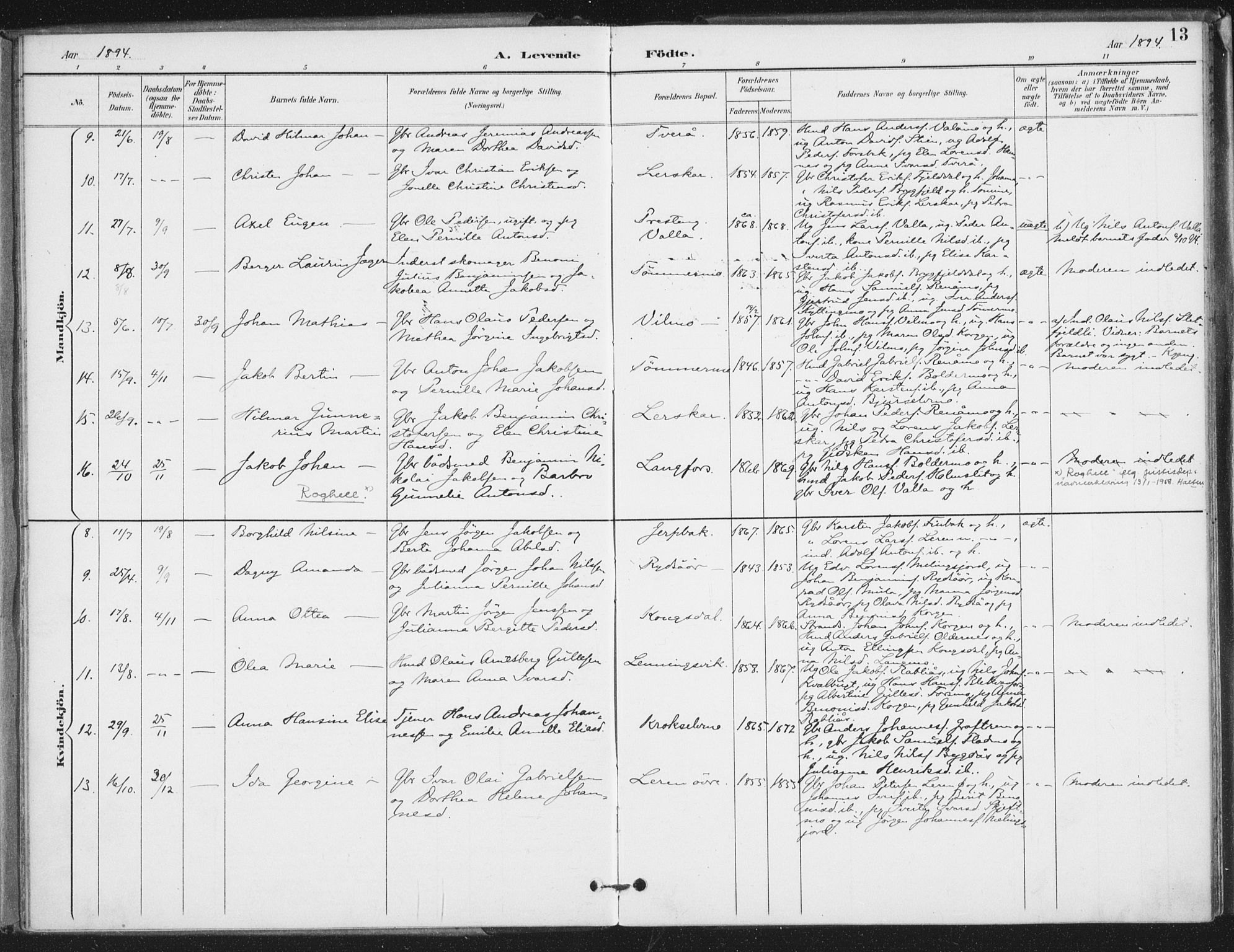 Ministerialprotokoller, klokkerbøker og fødselsregistre - Nordland, SAT/A-1459/826/L0380: Parish register (official) no. 826A03, 1891-1911, p. 13