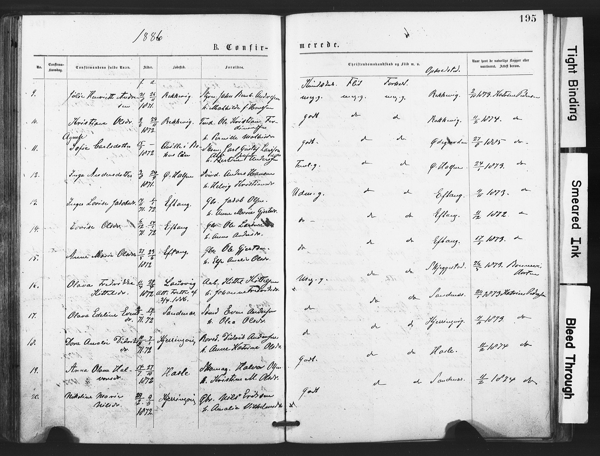 Tjølling kirkebøker, AV/SAKO-A-60/F/Fa/L0008: Parish register (official) no. 8, 1877-1886, p. 195