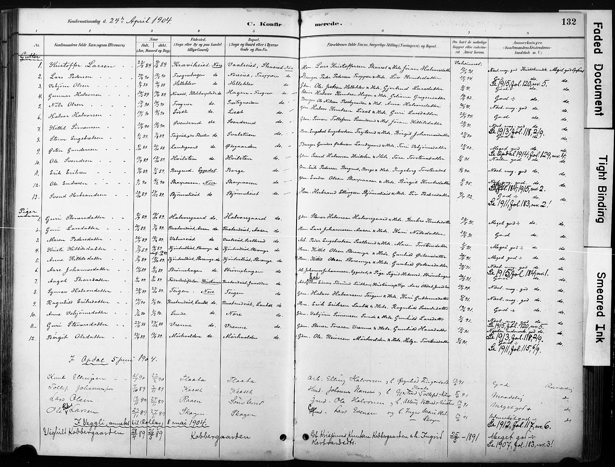 Nore kirkebøker, SAKO/A-238/F/Fb/L0002: Parish register (official) no. II 2, 1886-1906, p. 132