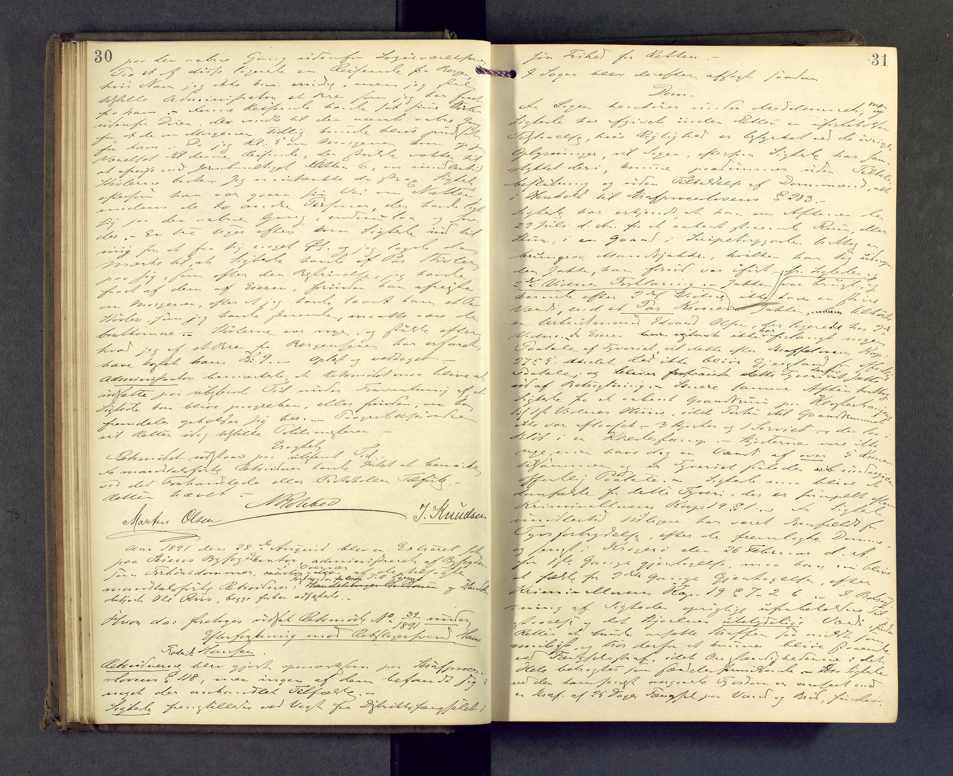 Skien byfogd, AV/SAKO-A-219/F/Fb/L0008: Forhørsprotokoll, 1891-1892, p. 30-31