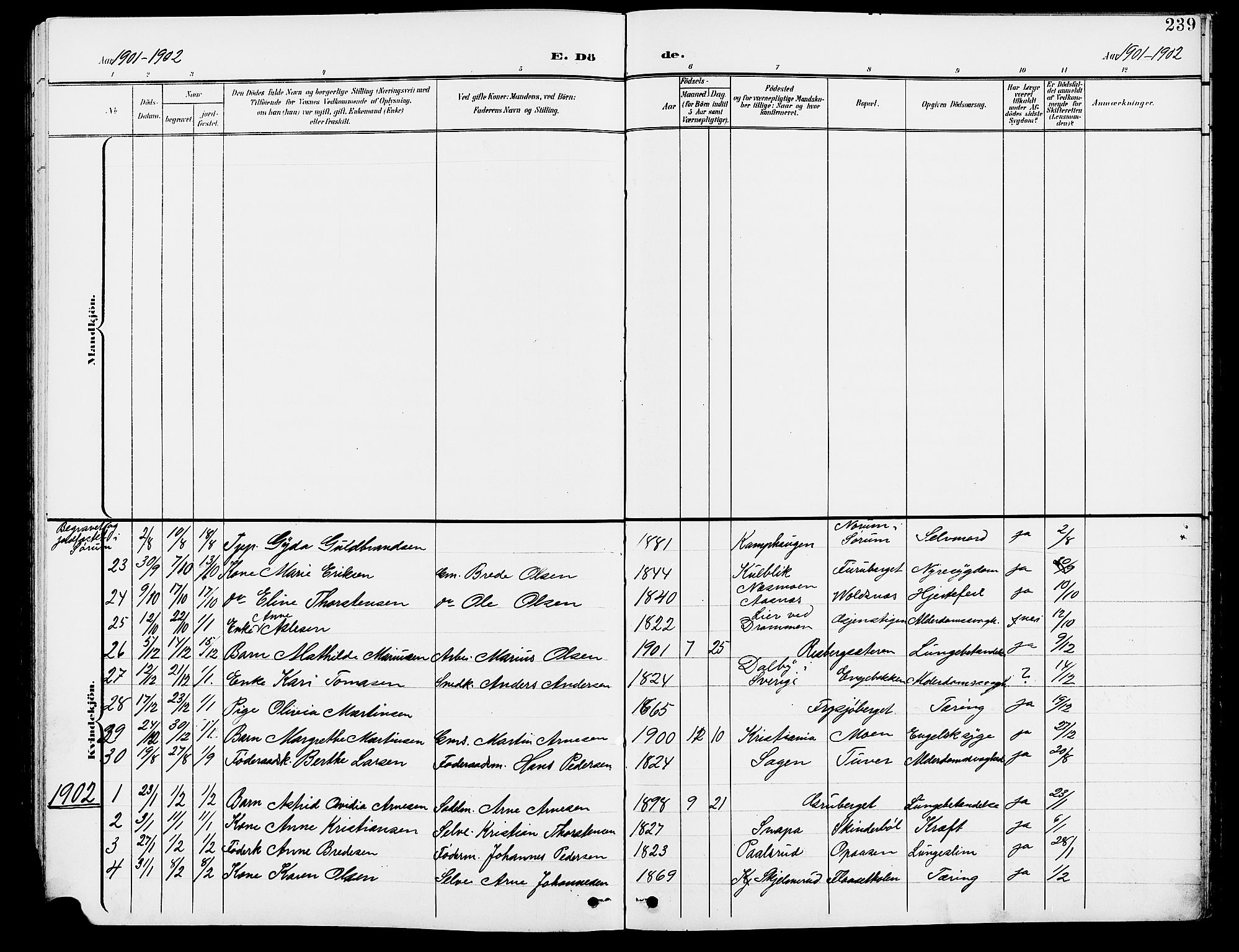 Grue prestekontor, SAH/PREST-036/H/Ha/Hab/L0005: Parish register (copy) no. 5, 1900-1909, p. 239