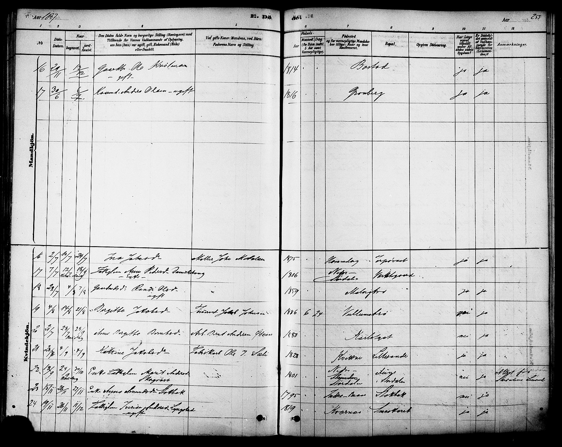 Ministerialprotokoller, klokkerbøker og fødselsregistre - Sør-Trøndelag, SAT/A-1456/616/L0410: Parish register (official) no. 616A07, 1878-1893, p. 253