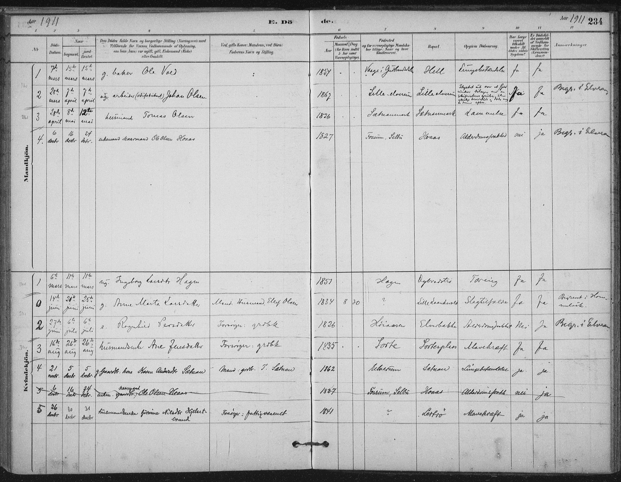 Ministerialprotokoller, klokkerbøker og fødselsregistre - Nord-Trøndelag, SAT/A-1458/710/L0095: Parish register (official) no. 710A01, 1880-1914, p. 234