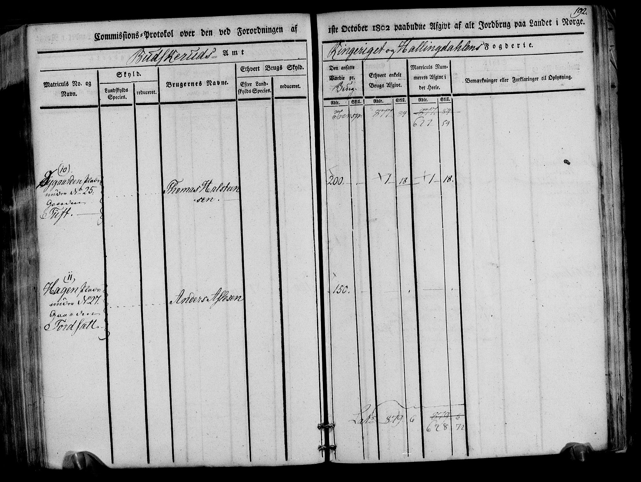 Rentekammeret inntil 1814, Realistisk ordnet avdeling, AV/RA-EA-4070/N/Ne/Nea/L0047: Ringerike og Hallingdal fogderi. Kommisjonsprotokoll for Nes prestegjeld, 1803, p. 195