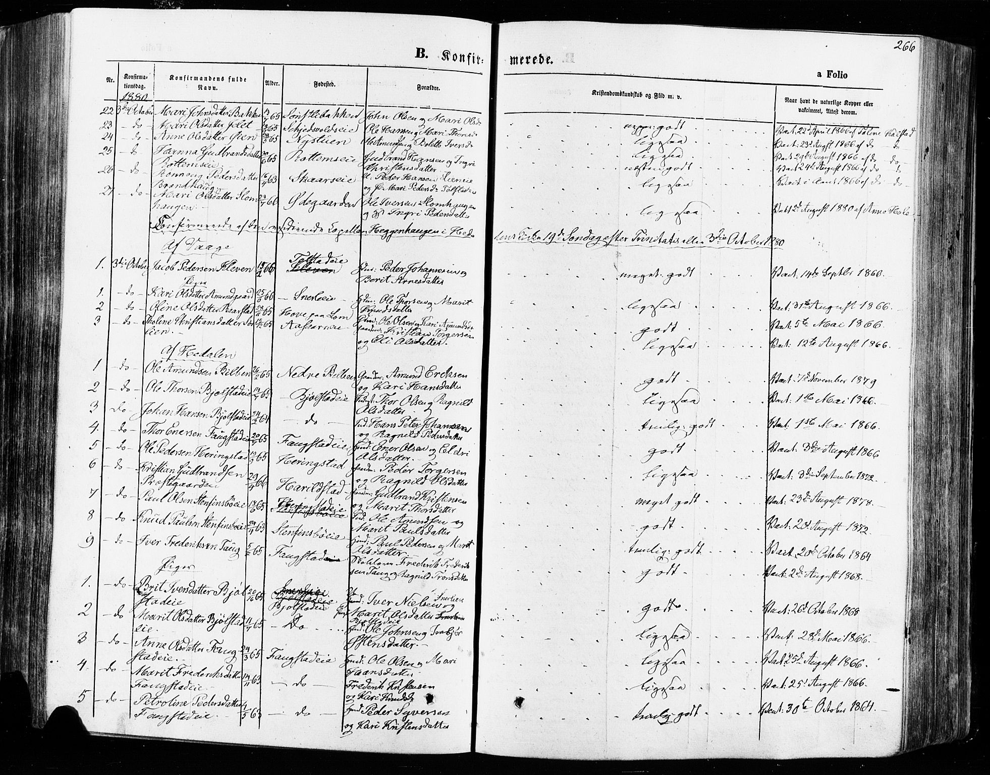 Vågå prestekontor, SAH/PREST-076/H/Ha/Haa/L0007: Parish register (official) no. 7 /1, 1872-1886, p. 266