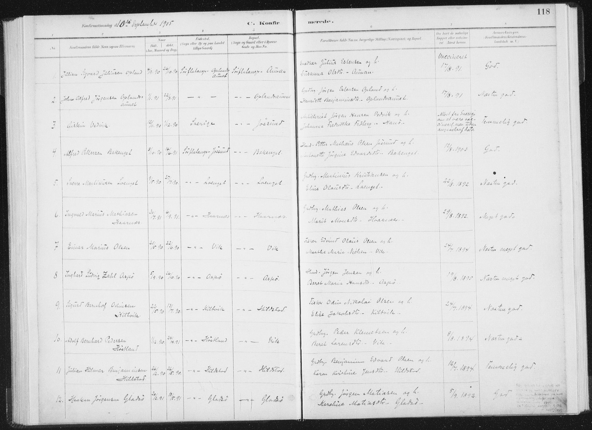 Ministerialprotokoller, klokkerbøker og fødselsregistre - Nord-Trøndelag, SAT/A-1458/771/L0597: Parish register (official) no. 771A04, 1885-1910, p. 118
