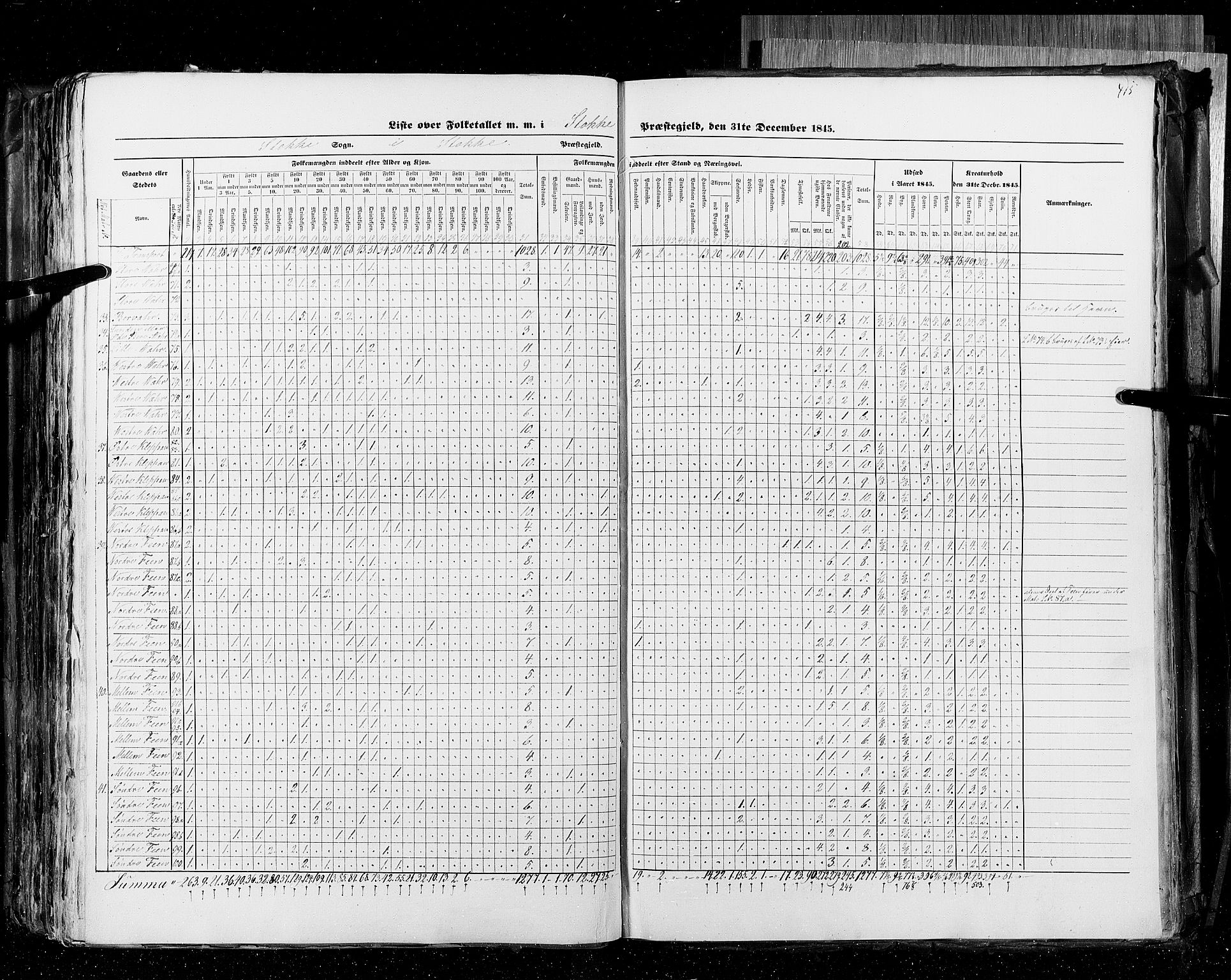 RA, Census 1845, vol. 4: Buskerud amt og Jarlsberg og Larvik amt, 1845, p. 415