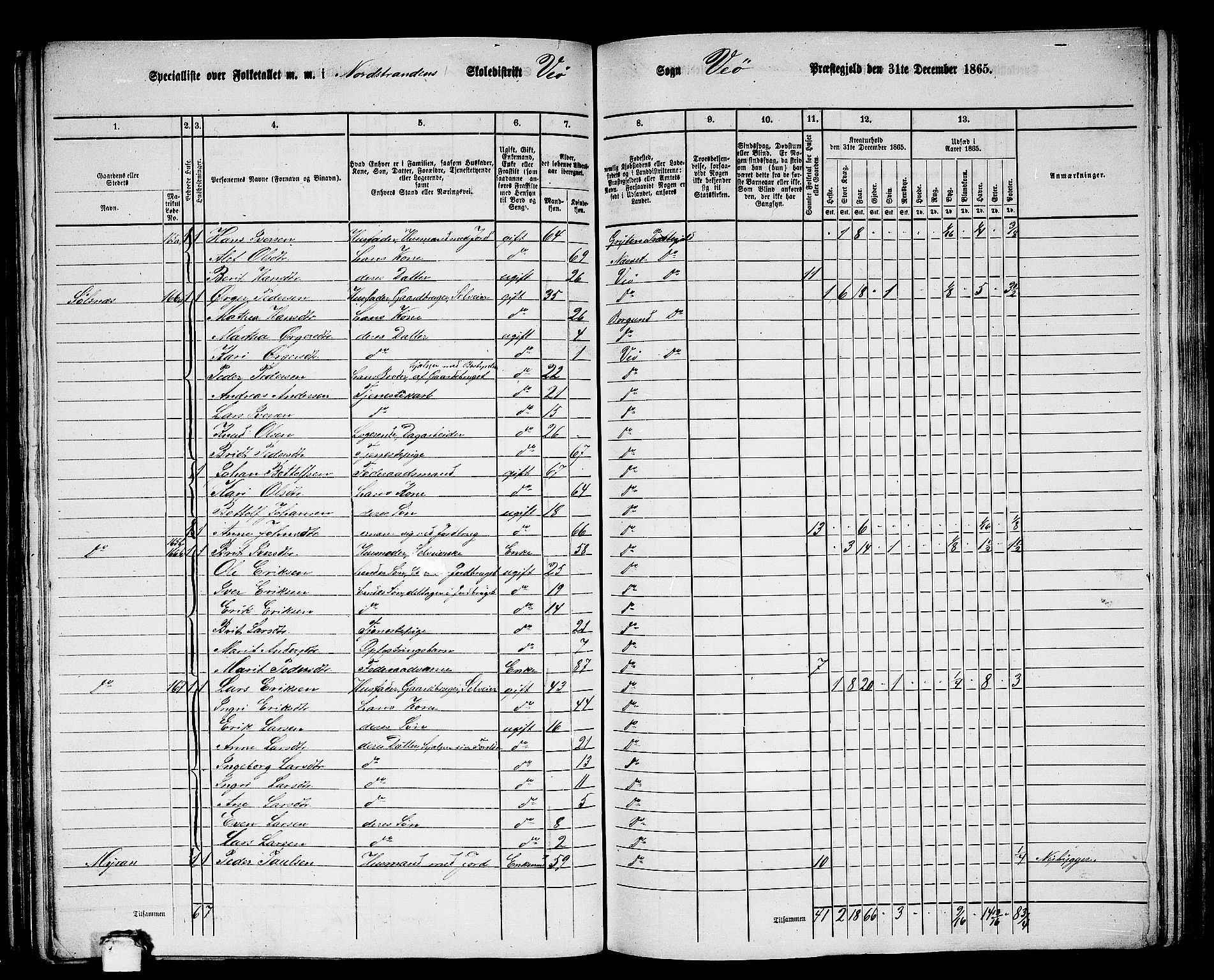 RA, 1865 census for Veøy, 1865, p. 16