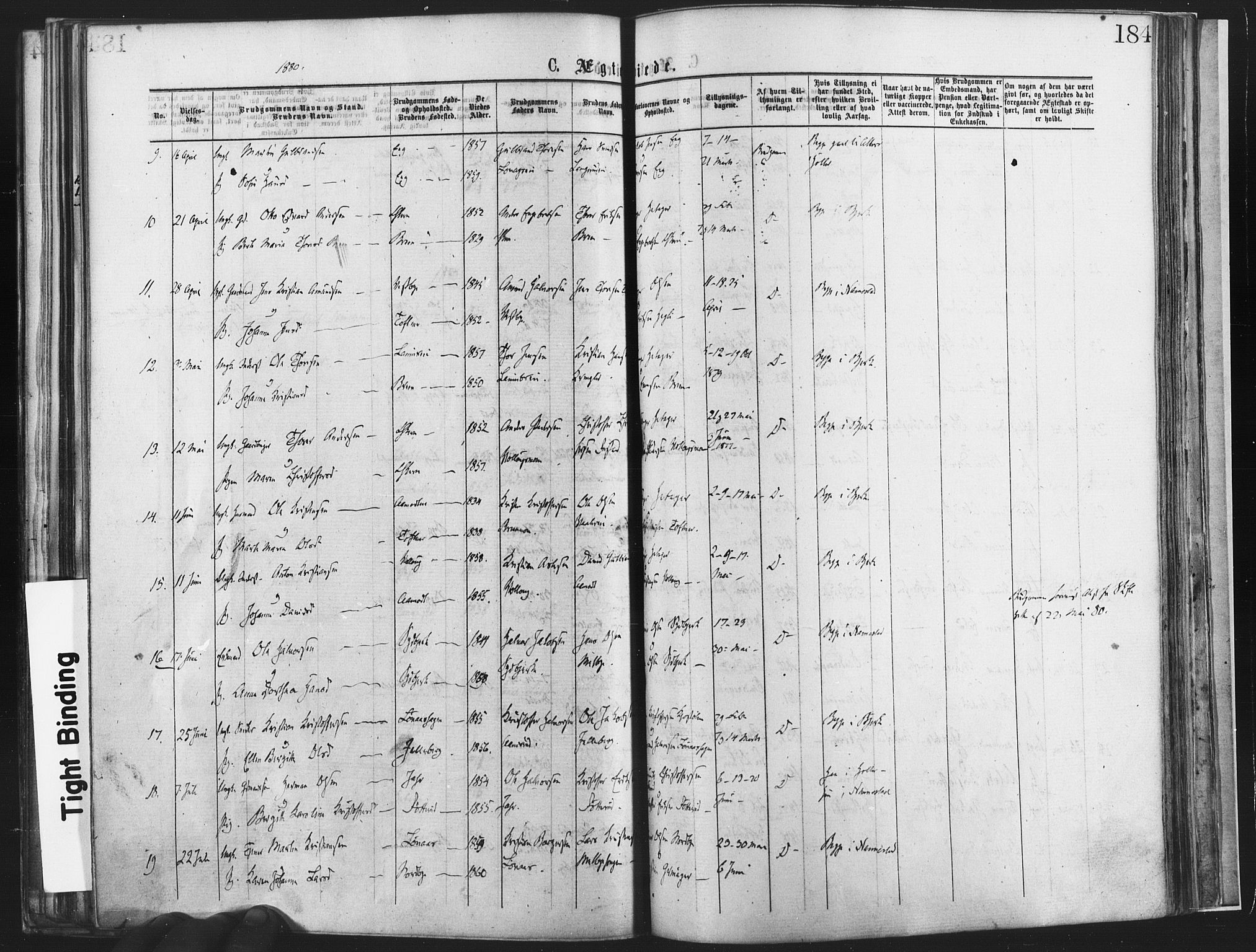 Nannestad prestekontor Kirkebøker, SAO/A-10414a/F/Fa/L0013: Parish register (official) no. I 13, 1873-1880, p. 184