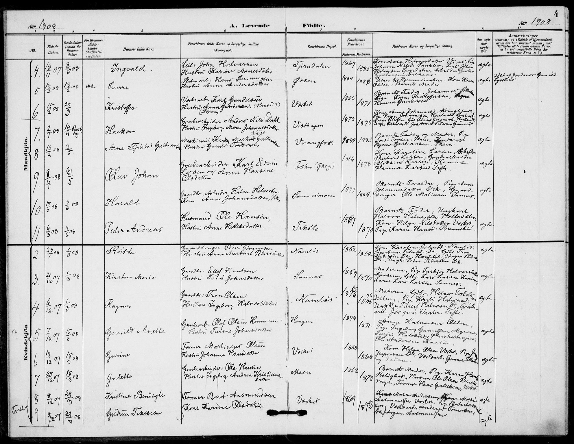 Holla kirkebøker, AV/SAKO-A-272/F/Fa/L0012: Parish register (official) no. 12, 1907-1923, p. 4