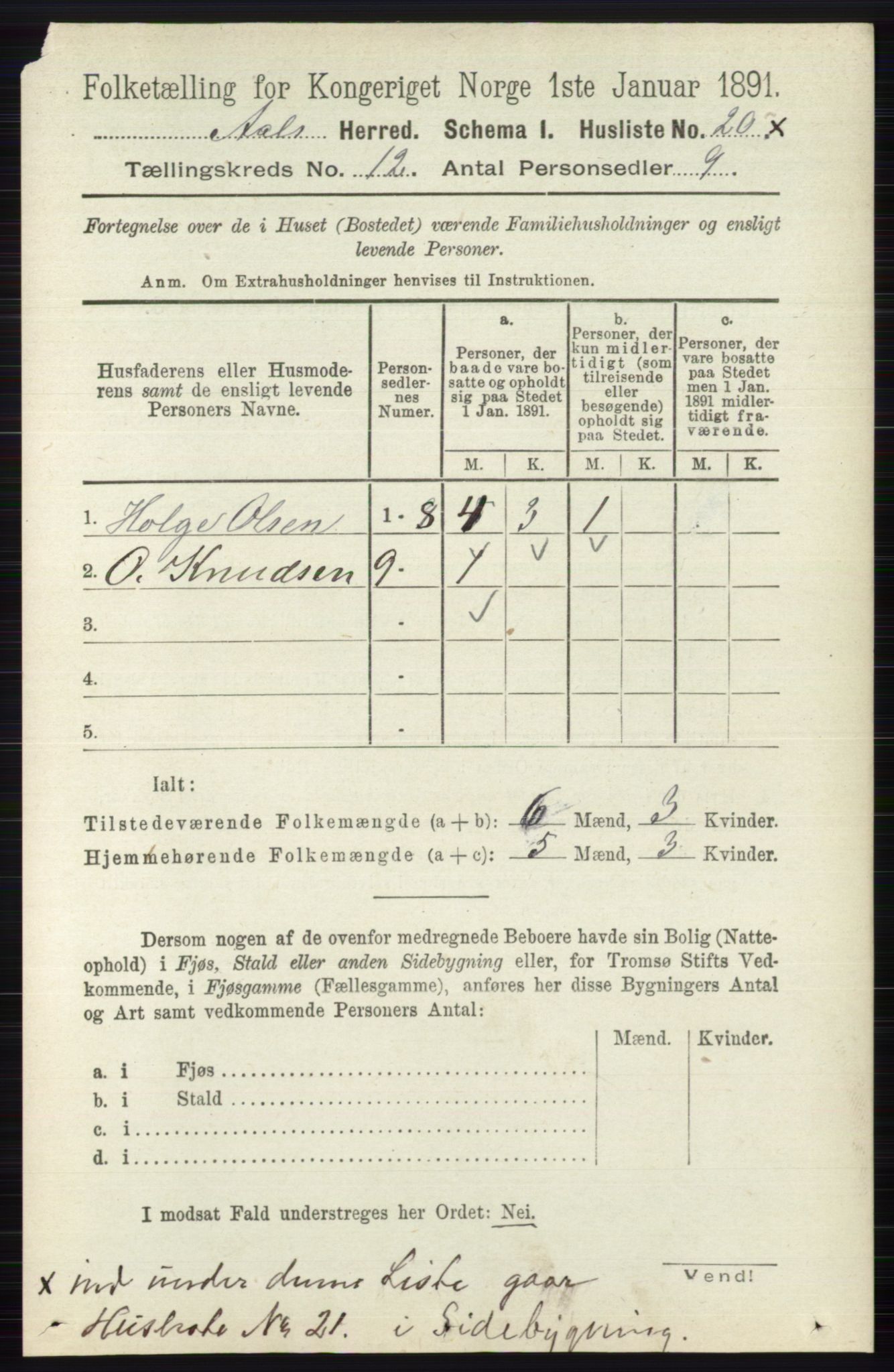 RA, 1891 census for 0619 Ål, 1891, p. 2989