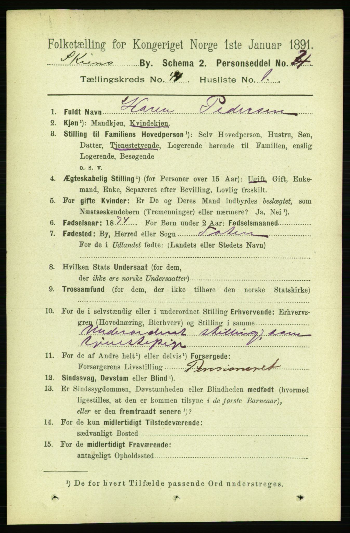 RA, 1891 census for 0806 Skien, 1891, p. 8772