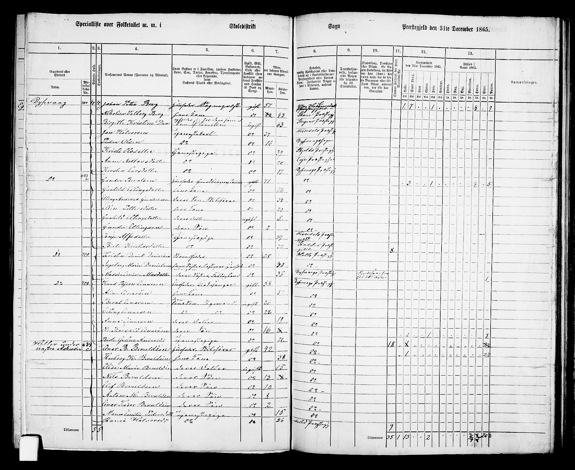 RA, 1865 census for Dypvåg, 1865, p. 95