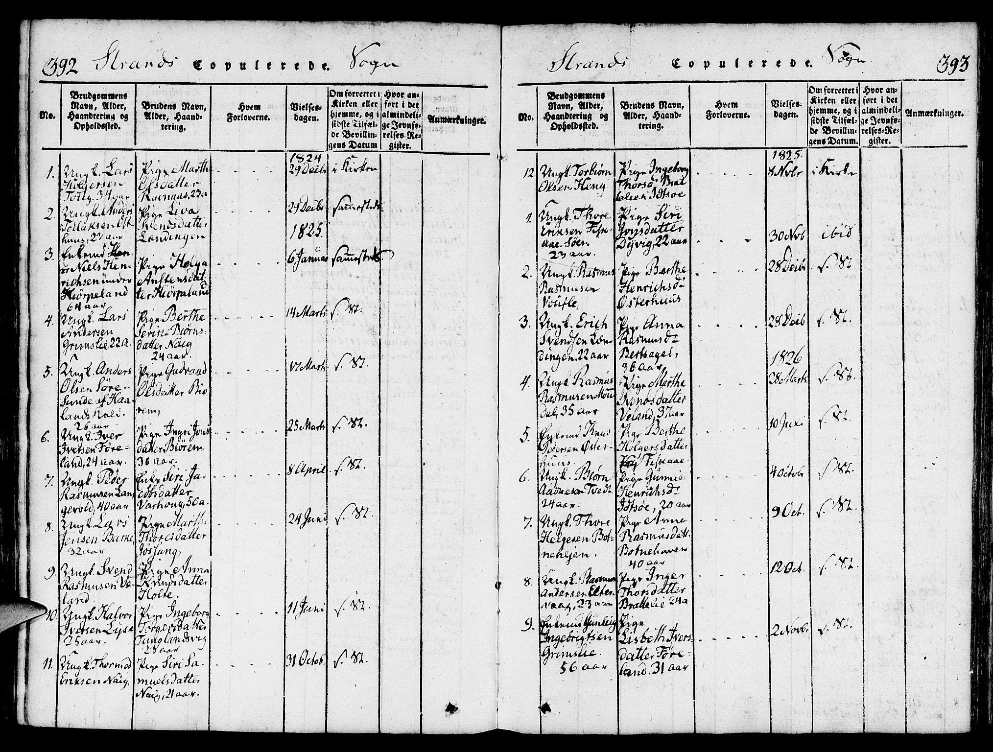 Strand sokneprestkontor, SAST/A-101828/H/Ha/Haa/L0004: Parish register (official) no. A 4 /1, 1816-1833, p. 392-393