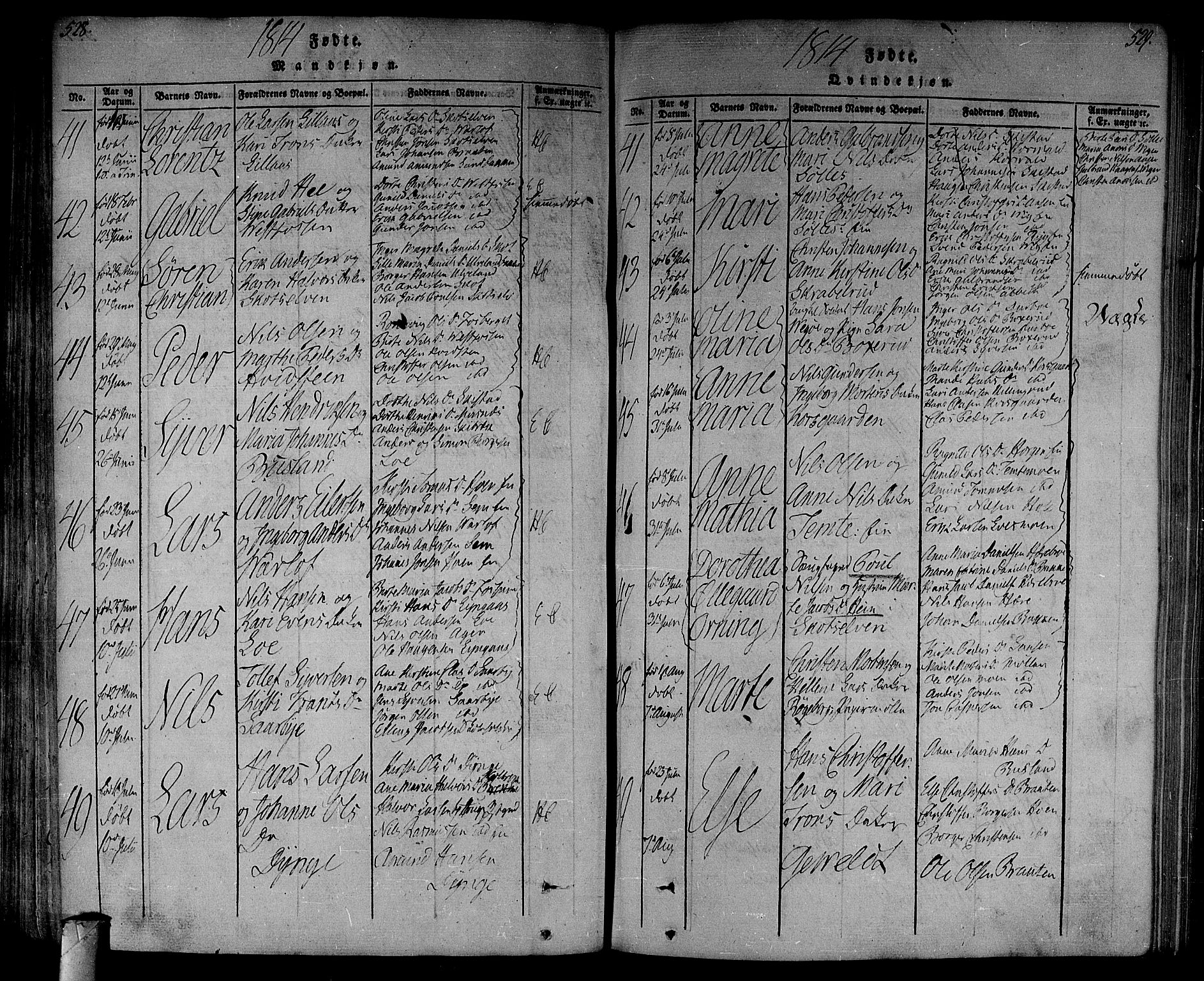 Eiker kirkebøker, AV/SAKO-A-4/F/Fa/L0010: Parish register (official) no. I 10, 1806-1815, p. 528-529