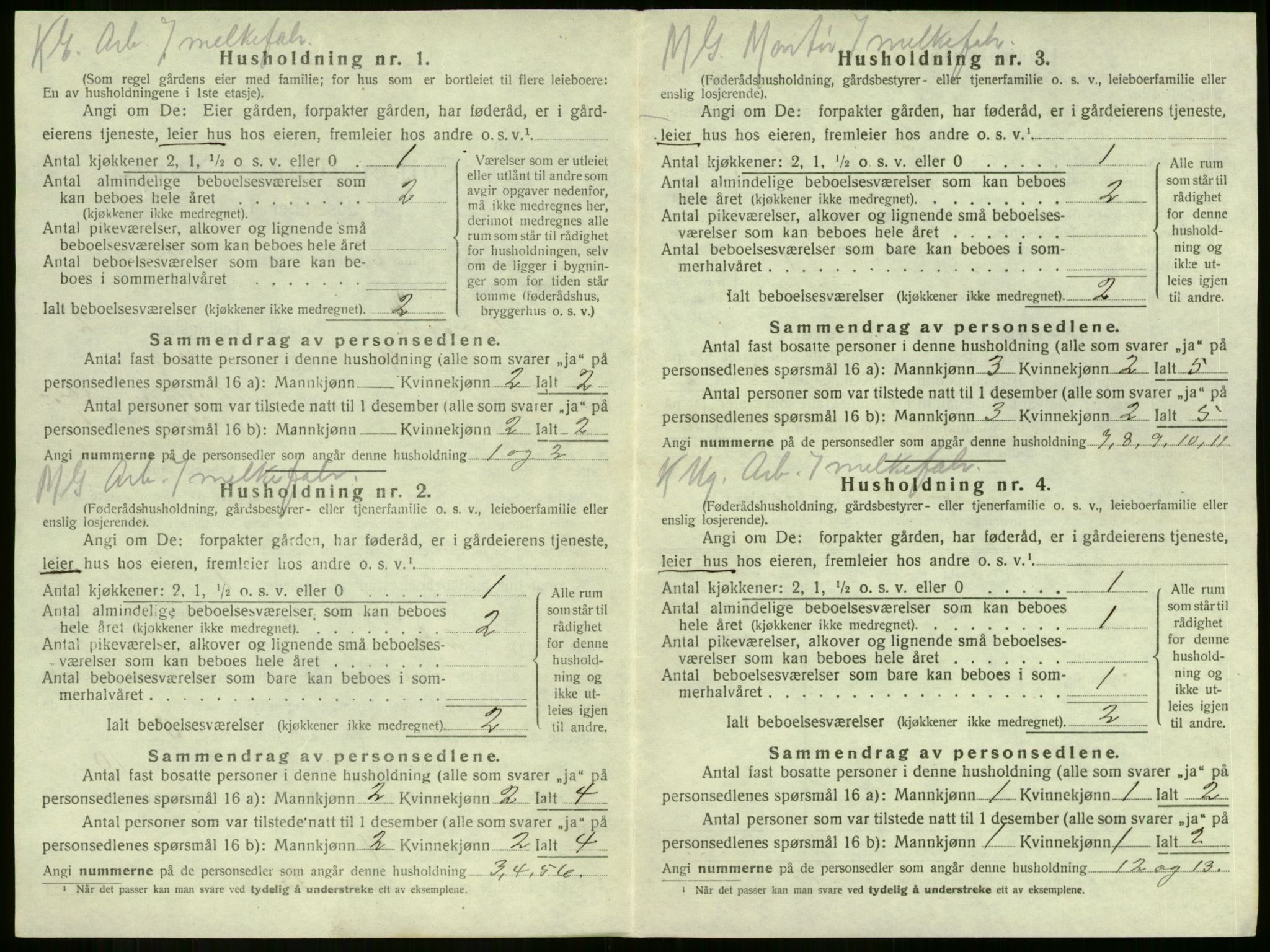 SAKO, 1920 census for Botne, 1920, p. 261