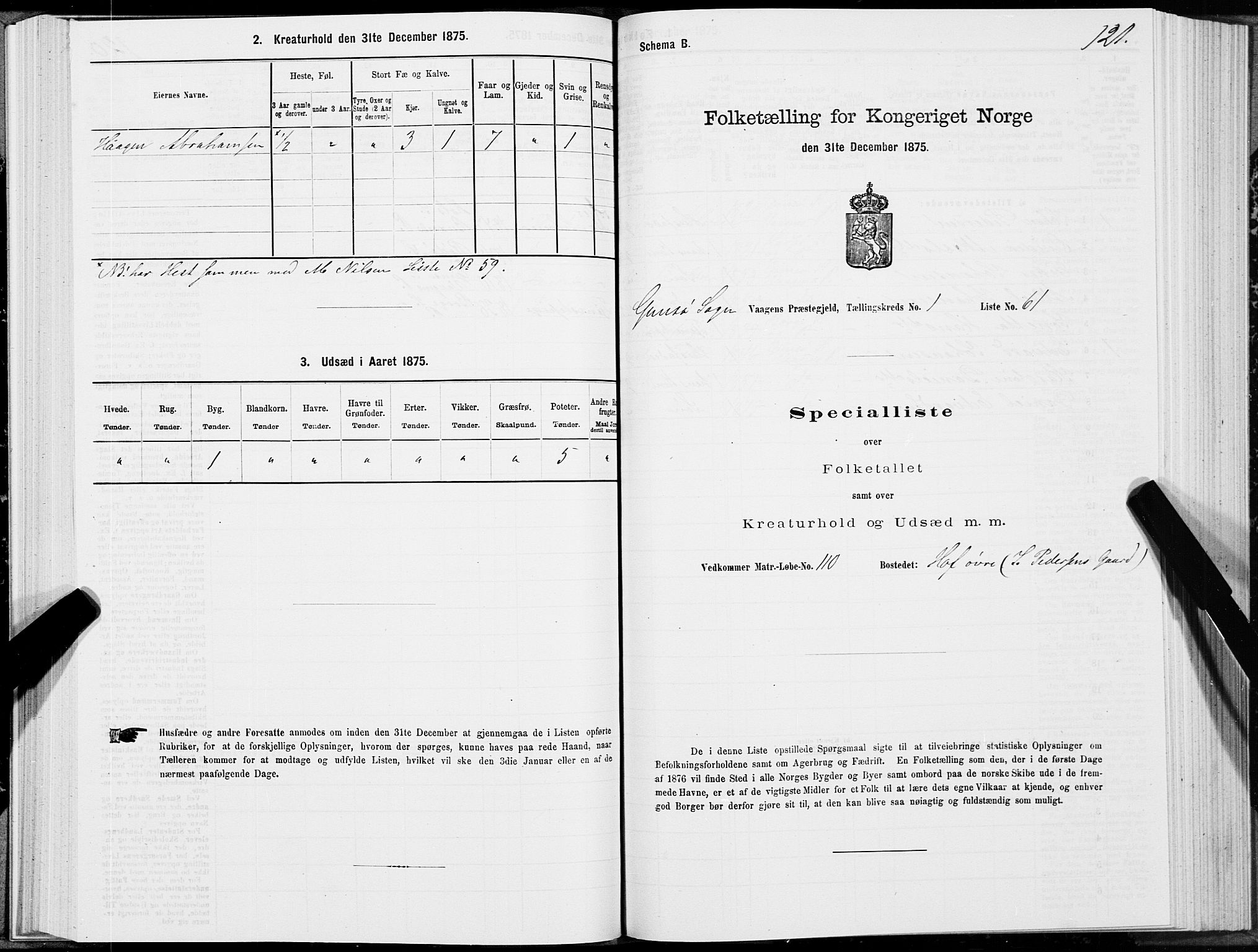 SAT, 1875 census for 1865P Vågan, 1875, p. 5121