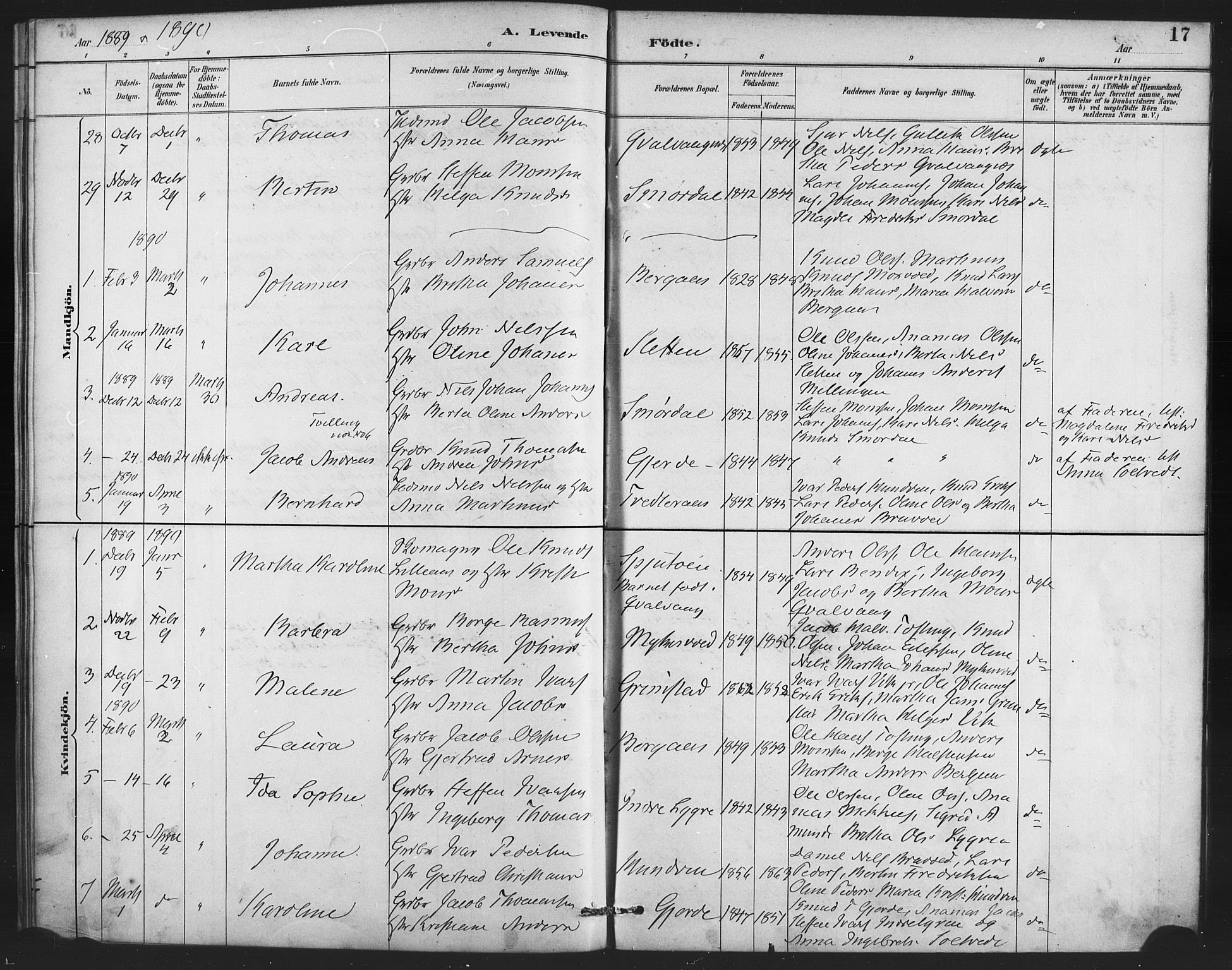 Lindås Sokneprestembete, SAB/A-76701/H/Haa: Parish register (official) no. E 1, 1886-1897, p. 17
