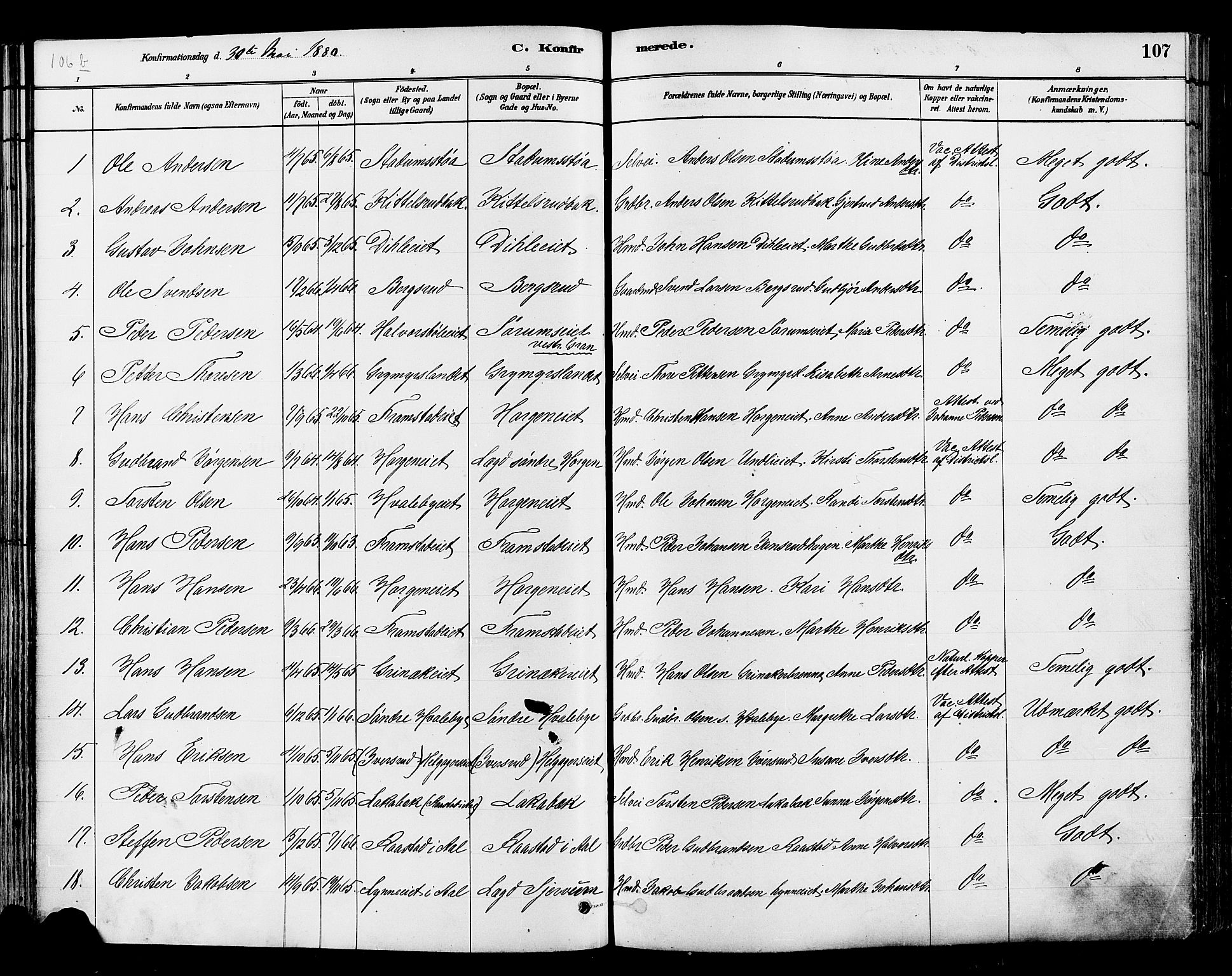 Gran prestekontor, SAH/PREST-112/H/Ha/Haa/L0014: Parish register (official) no. 14, 1880-1889, p. 107