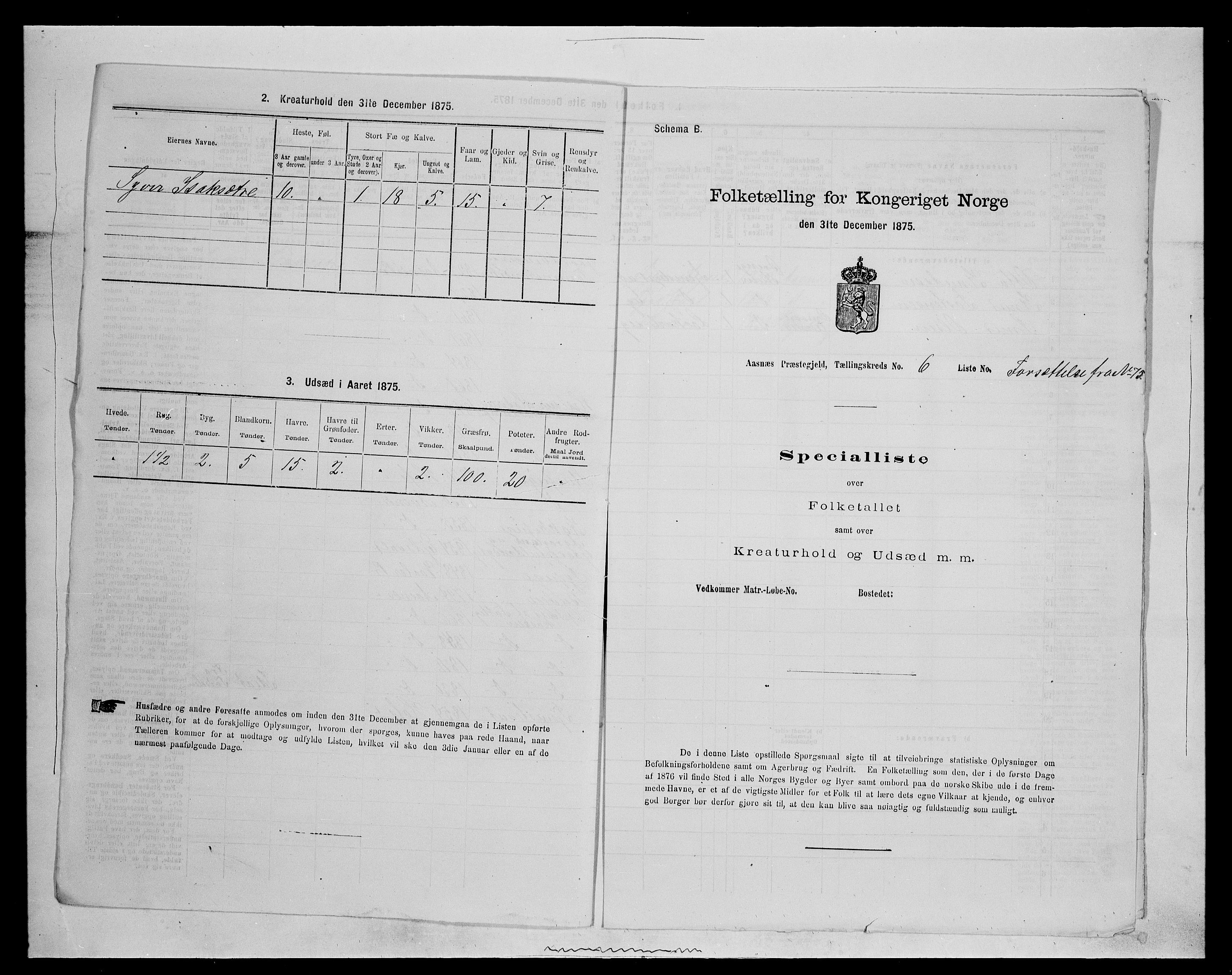 SAH, 1875 census for 0425P Åsnes, 1875, p. 966