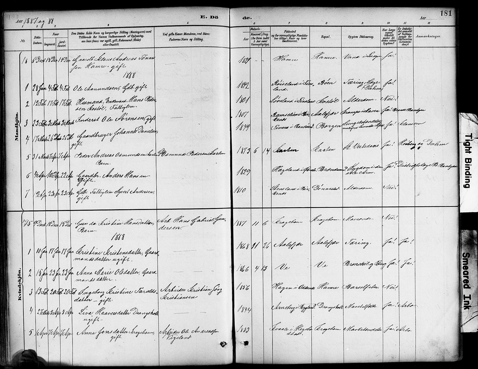 Tveit sokneprestkontor, AV/SAK-1111-0043/F/Fb/L0004: Parish register (copy) no. B 4, 1887-1914, p. 181