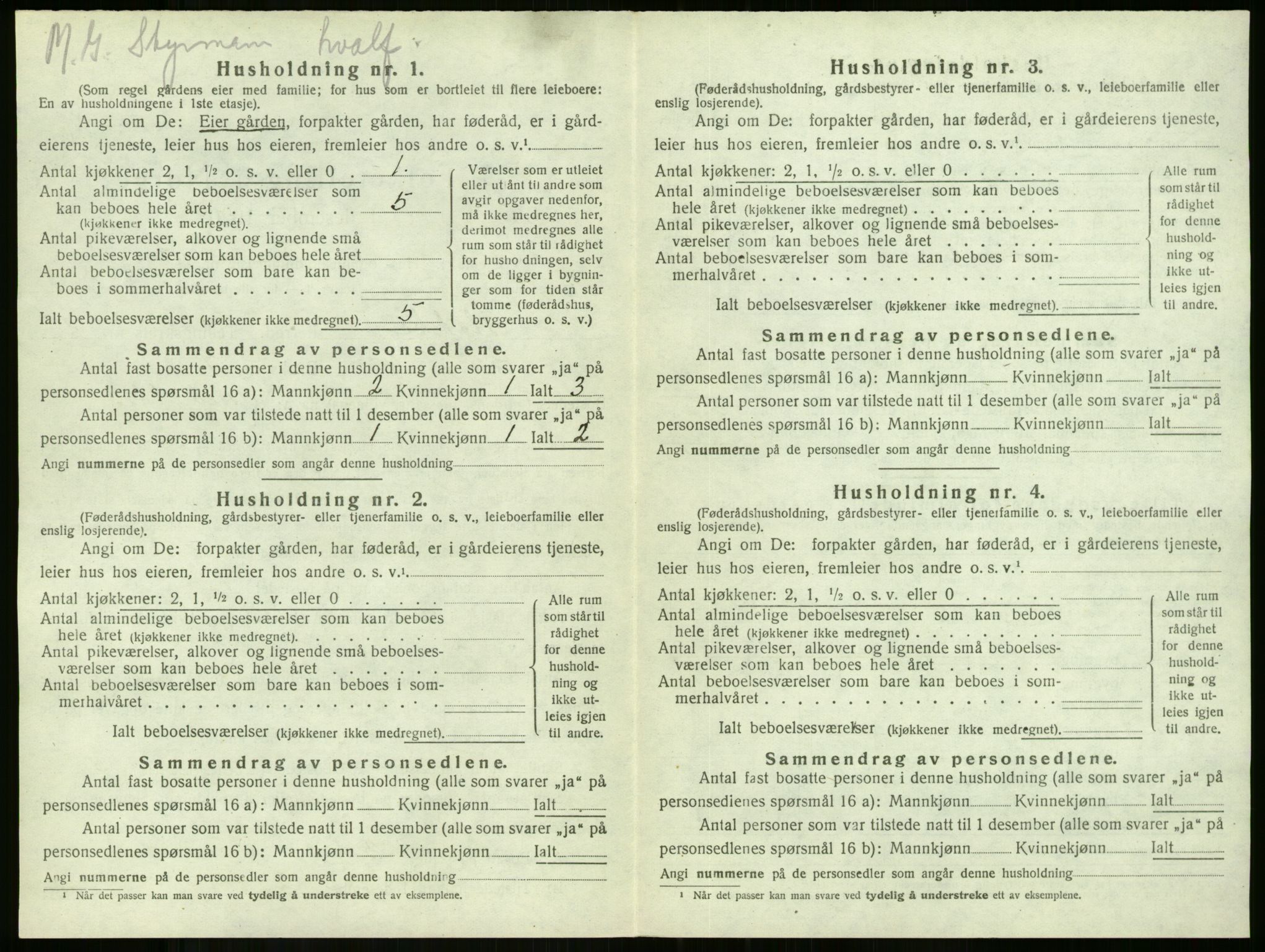 SAKO, 1920 census for Stokke, 1920, p. 1002