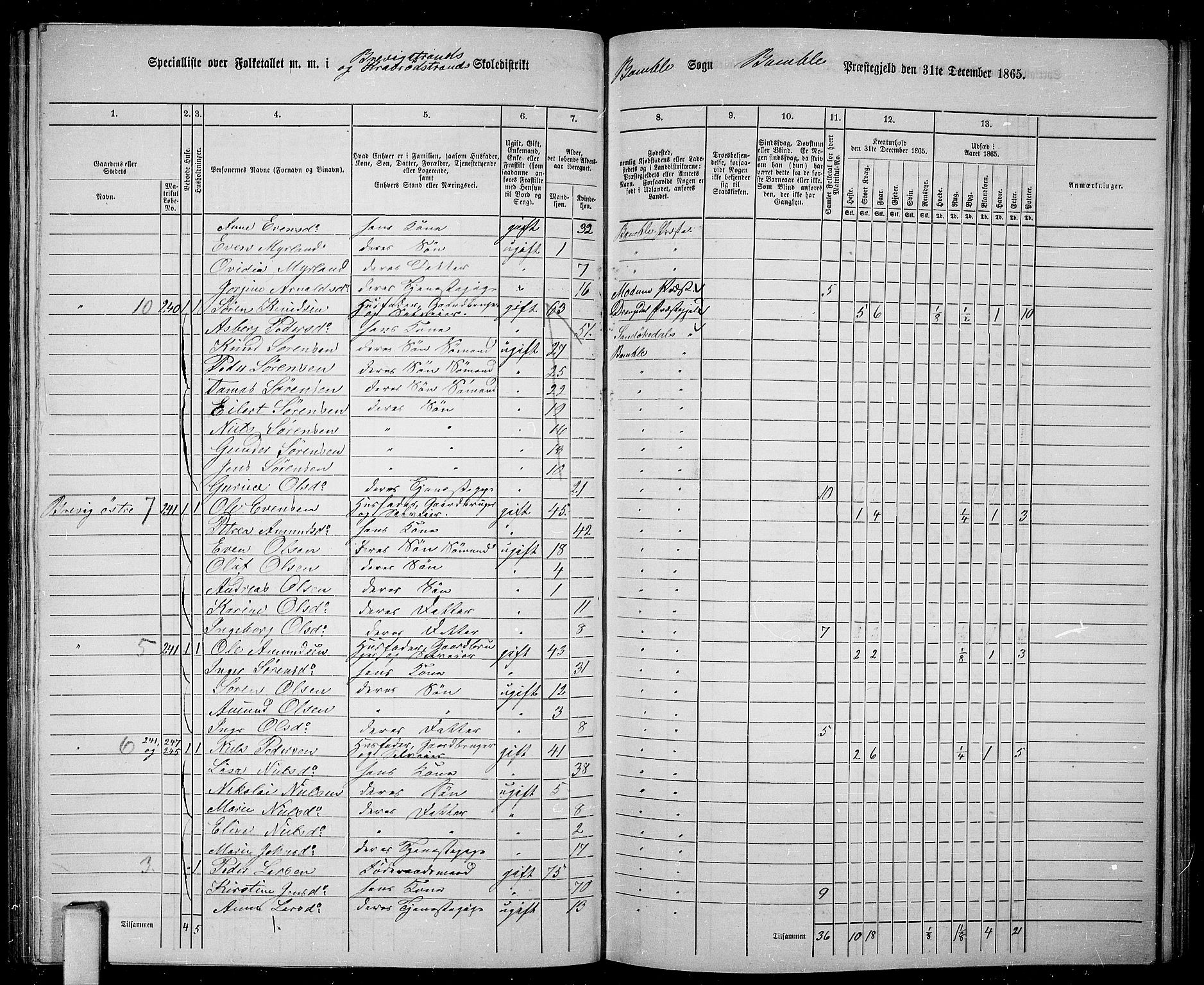 RA, 1865 census for Bamble, 1865, p. 133