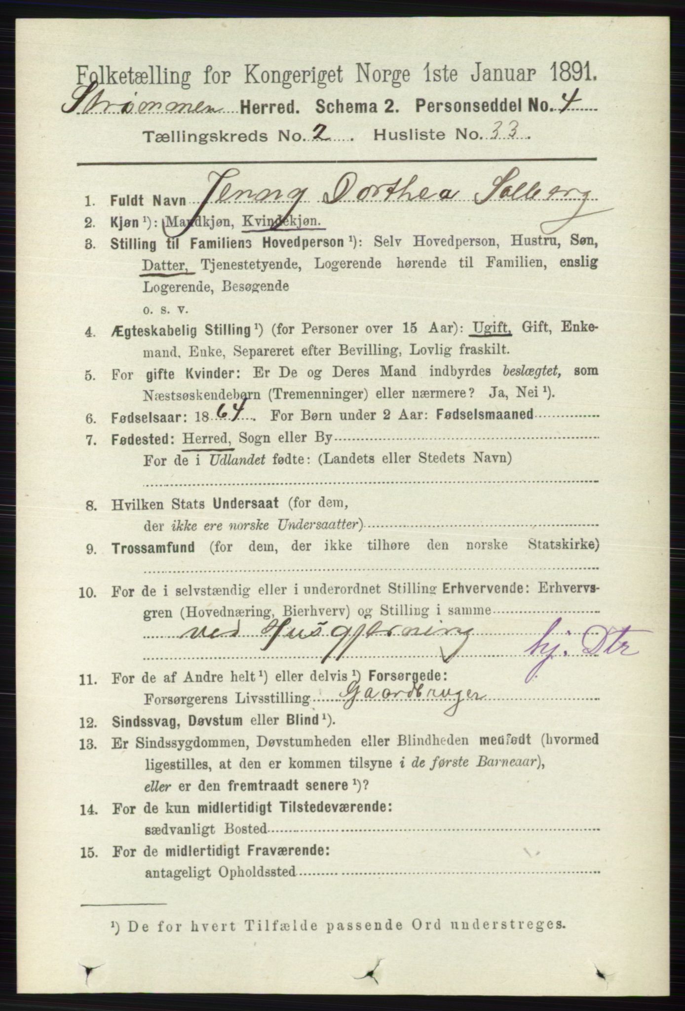 RA, 1891 census for 0711 Strømm, 1891, p. 888